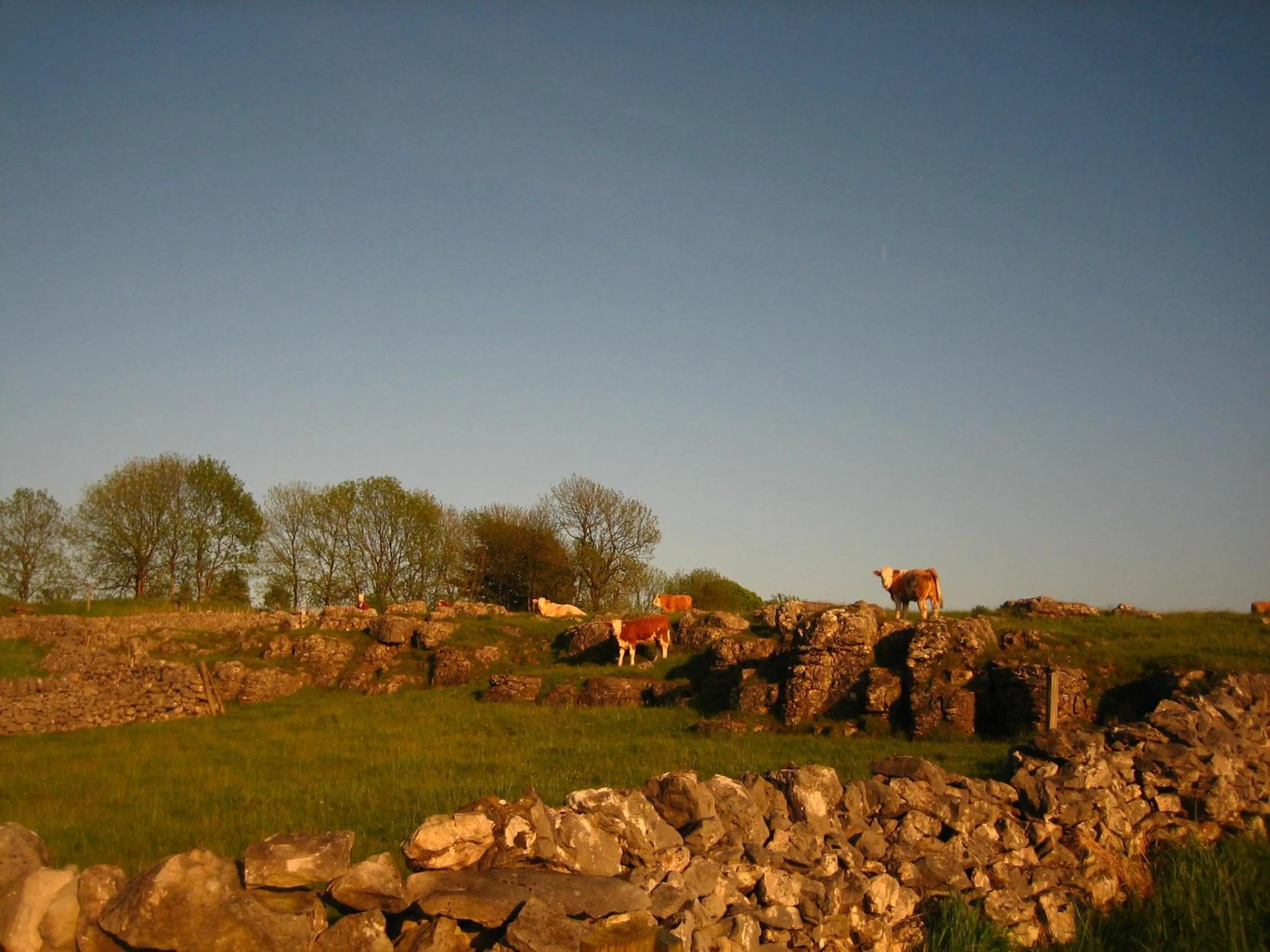 Natural landscape in Biggin Hall Country House Hotel