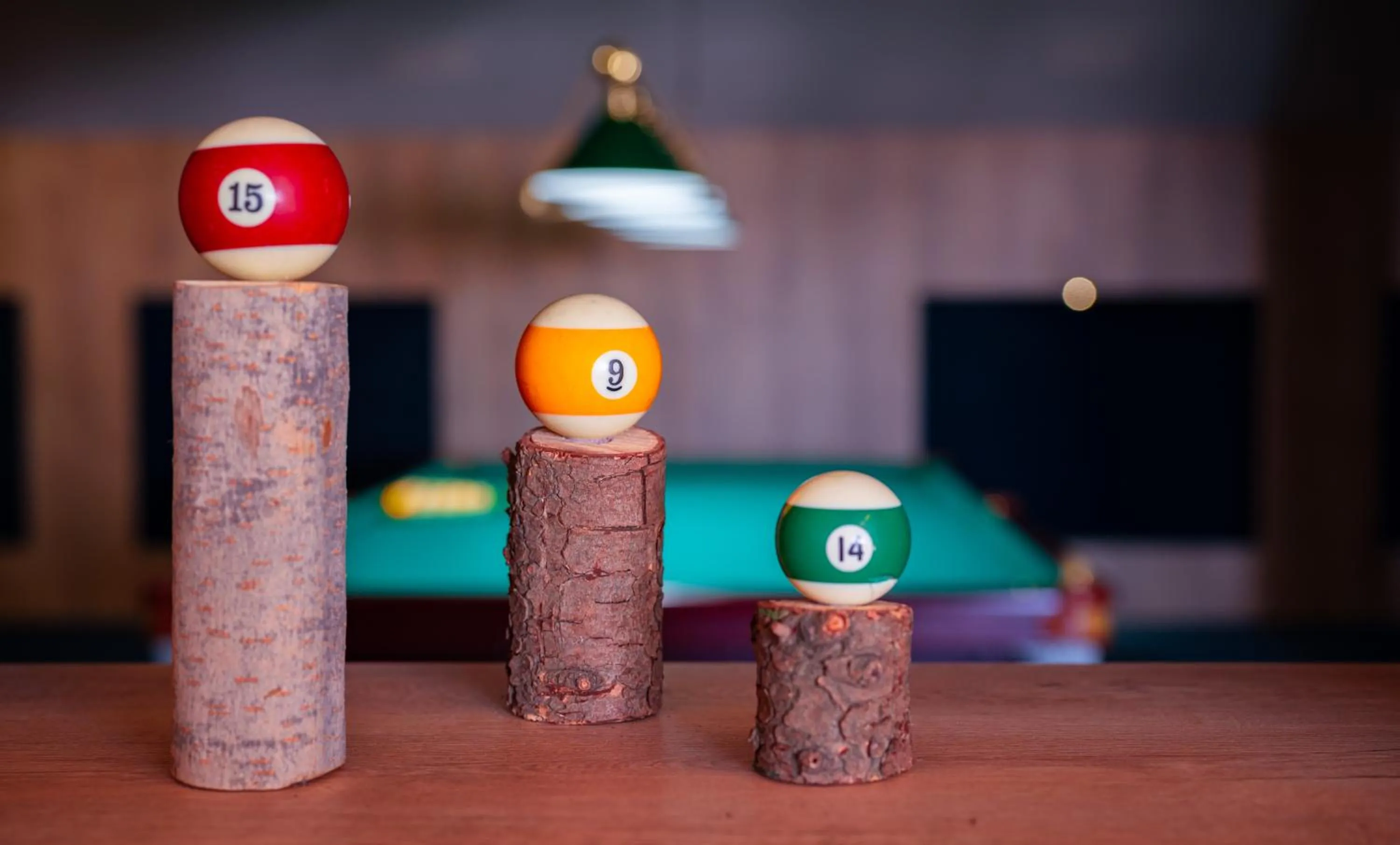 Entertainment in Alpina Hotel Gudauri