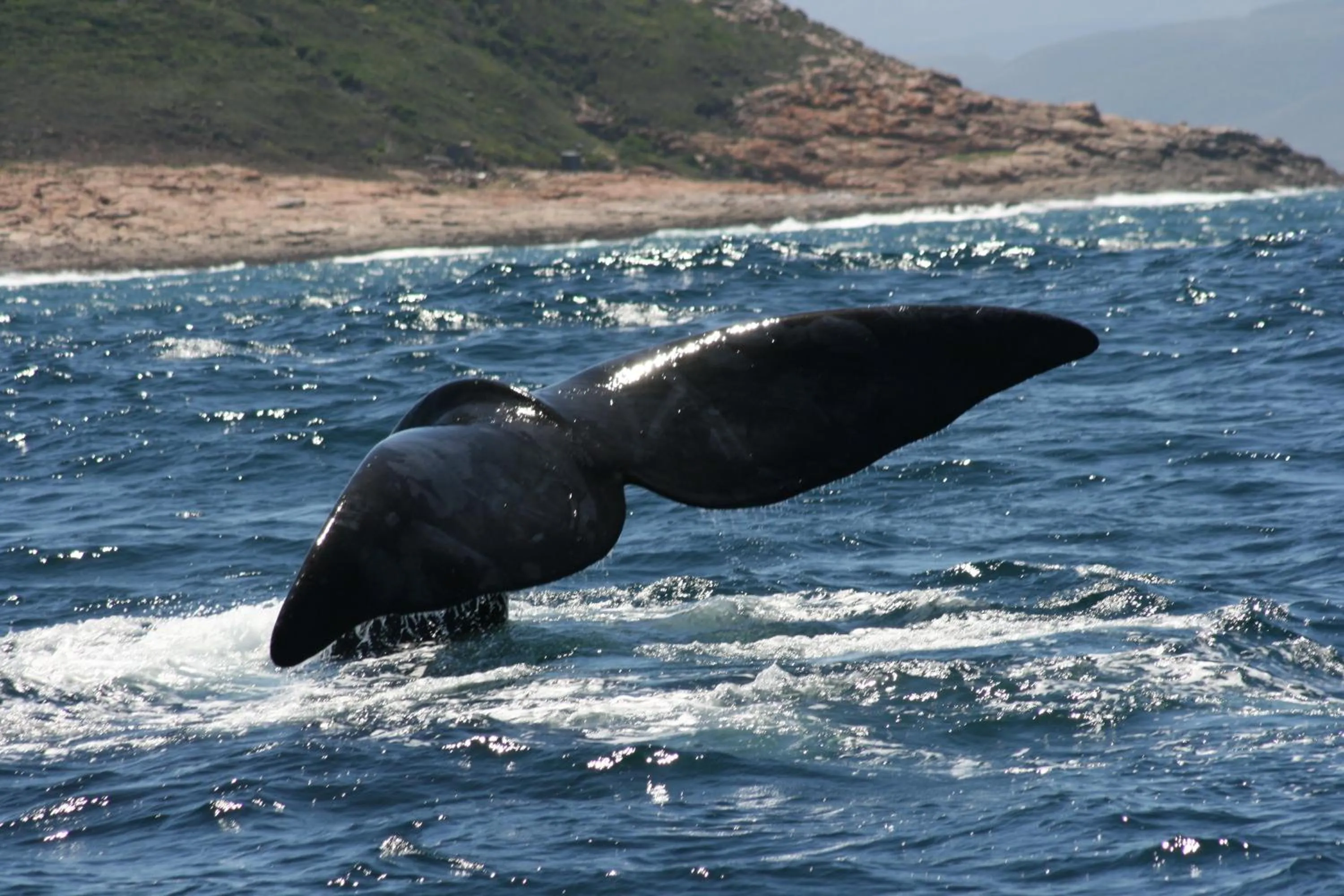 Activities in Buffelsdam Country House