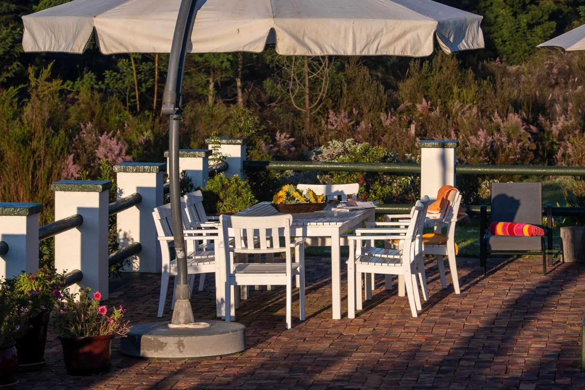 Balcony/Terrace in Buffelsdam Country House