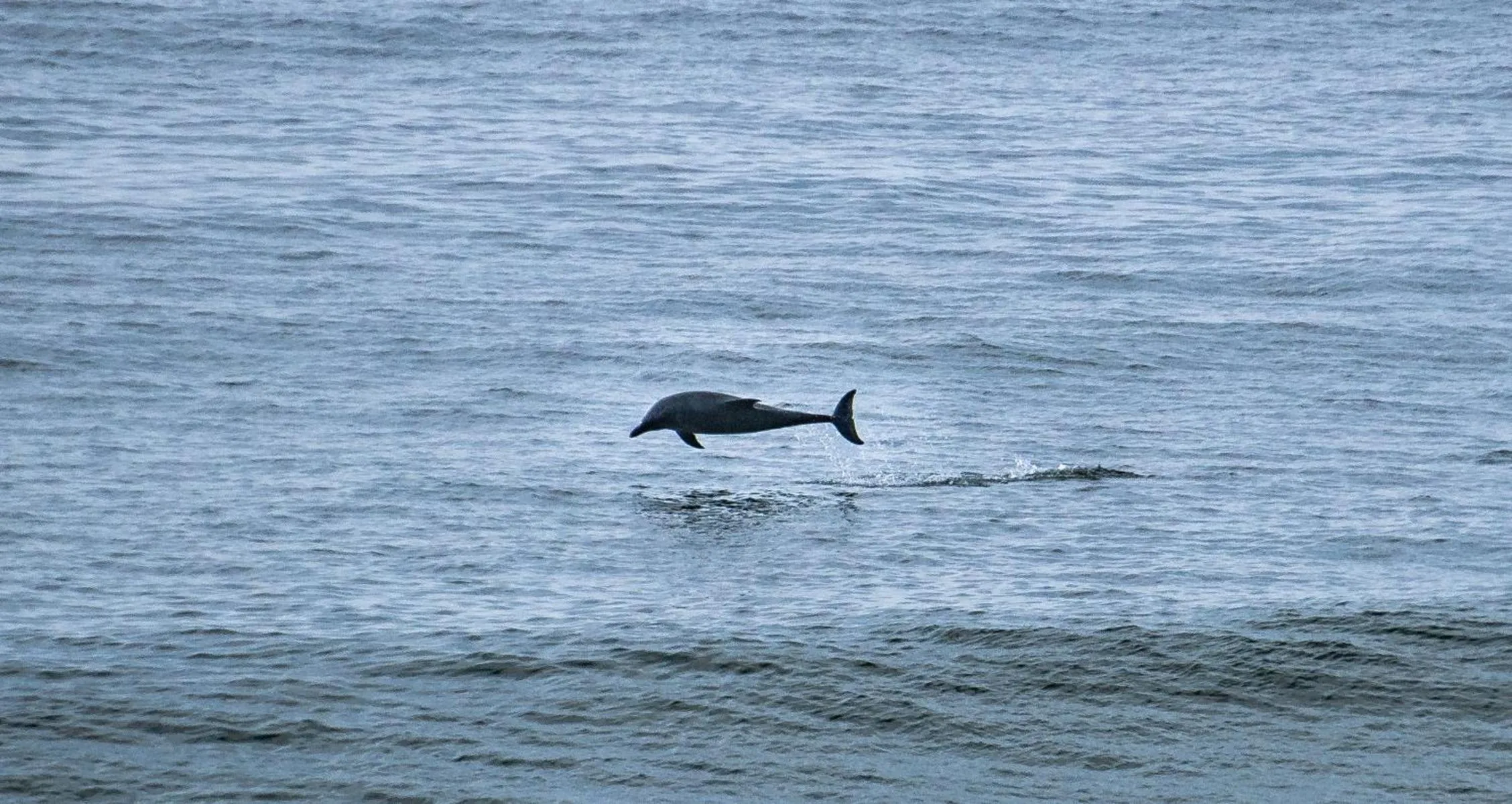 Beach in Buffelsdam Country House