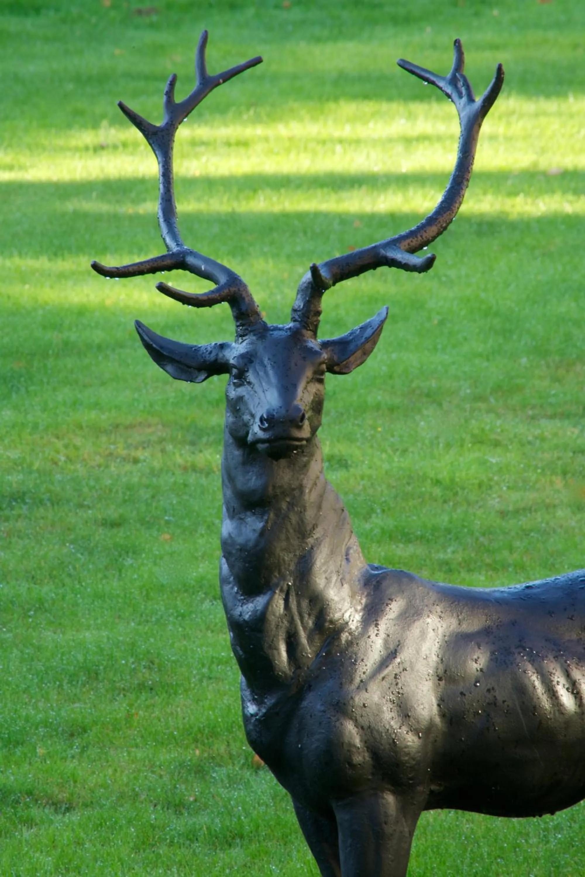Garden in Loch Kinord Hotel