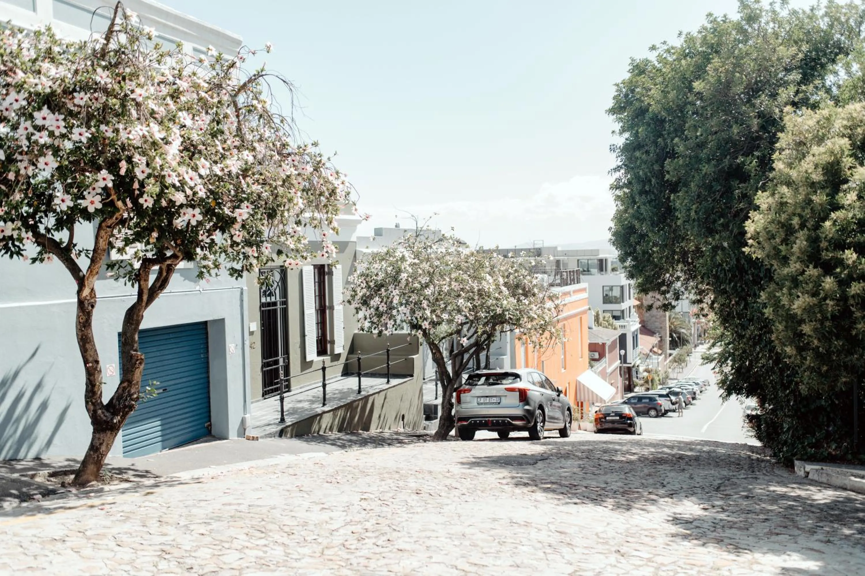 Neighbourhood in Cape Finest Guest House located in De Waterkant