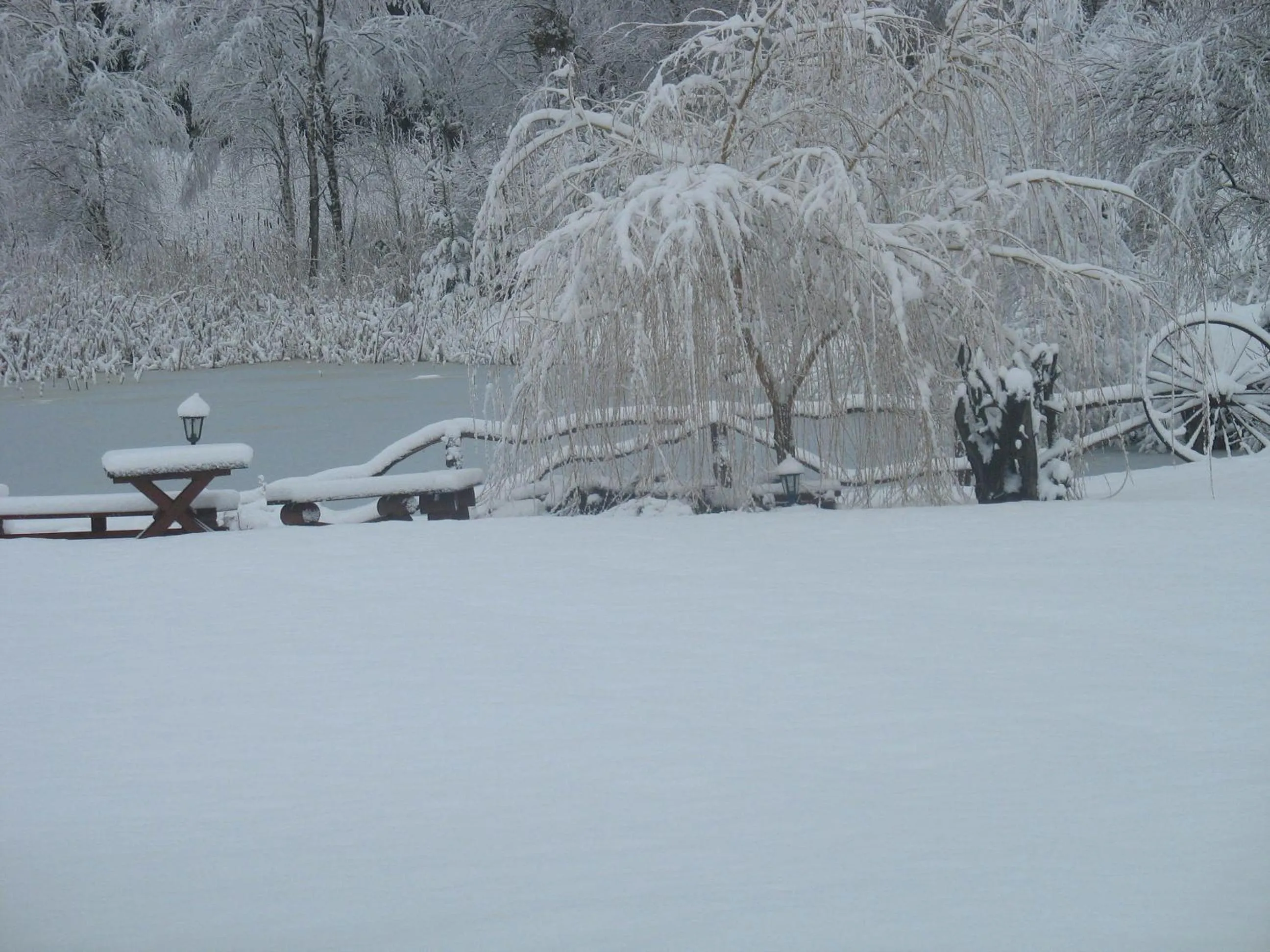 Activities in Pod Dobrym Aniołem