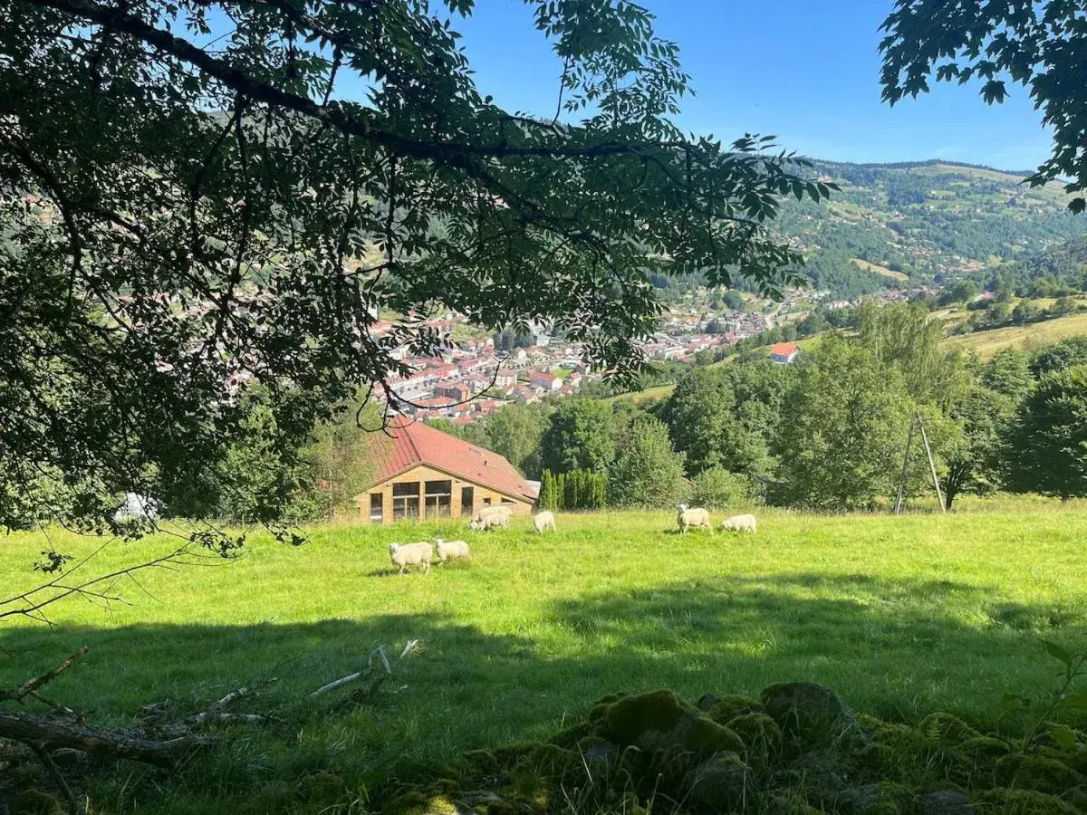 Aux Sources - 14 personnes - sauna & jacuzzi Aux Sources - 14 personnes - sauna & jacuzzi