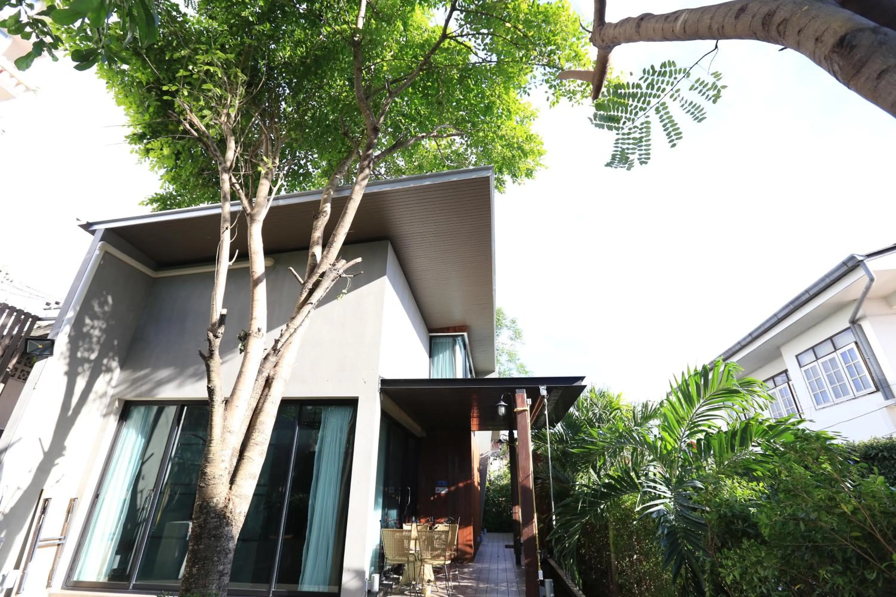 The White Elephant Home