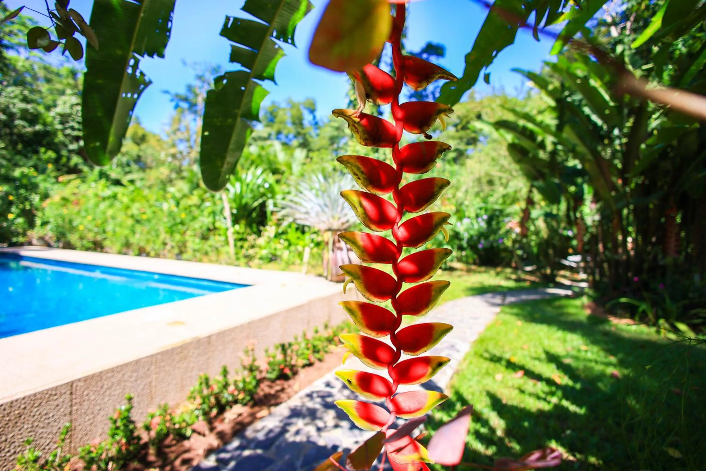 Pool view in Hotel Casa Merlin