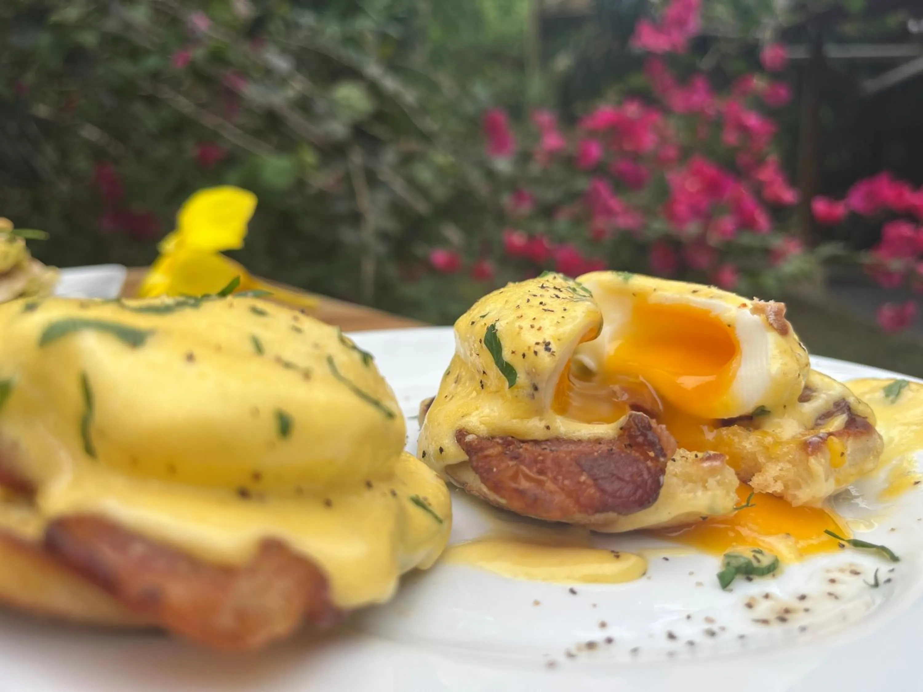 Food in Hotel Casa Merlin