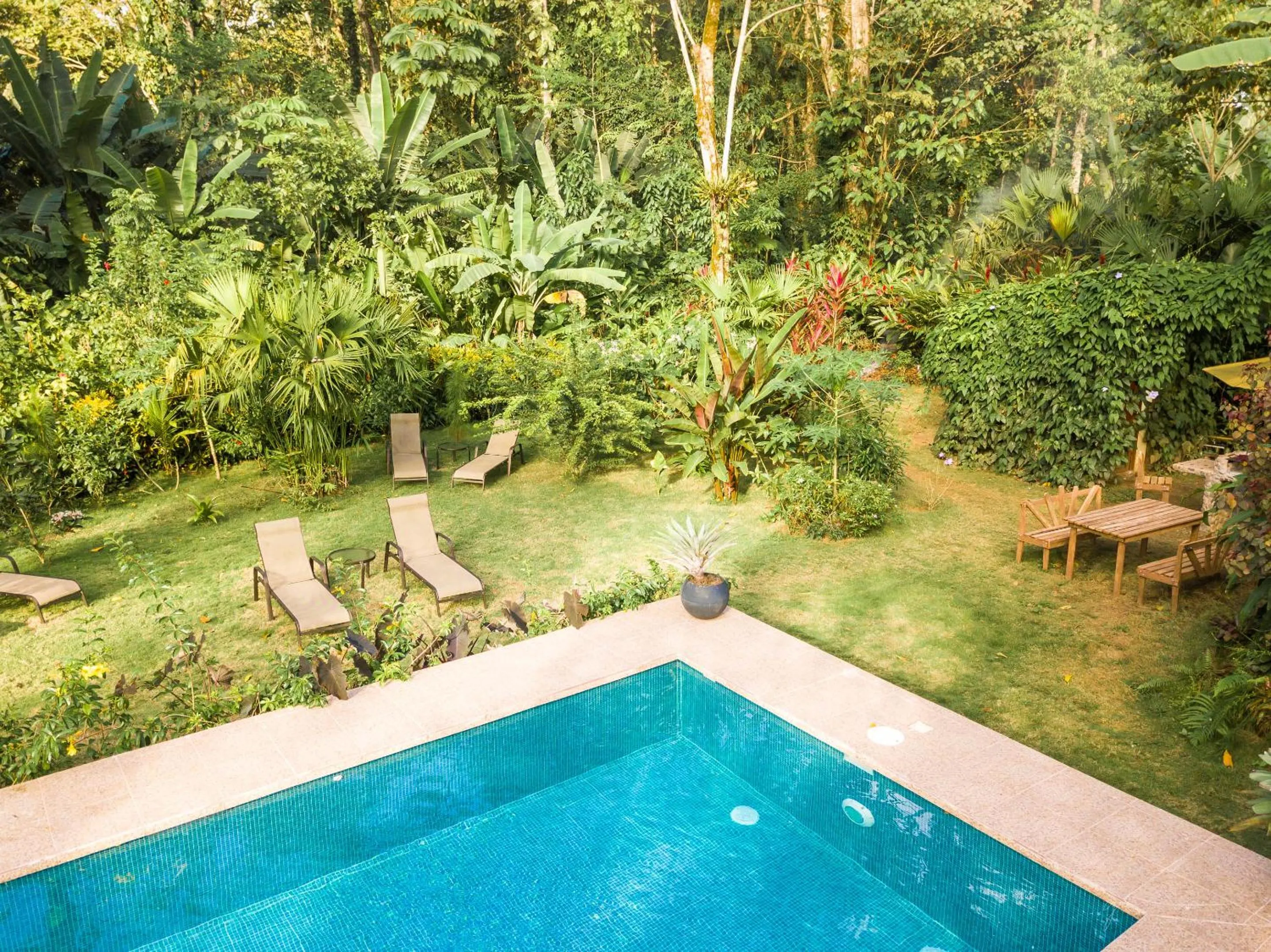 Garden in Hotel Casa Merlin