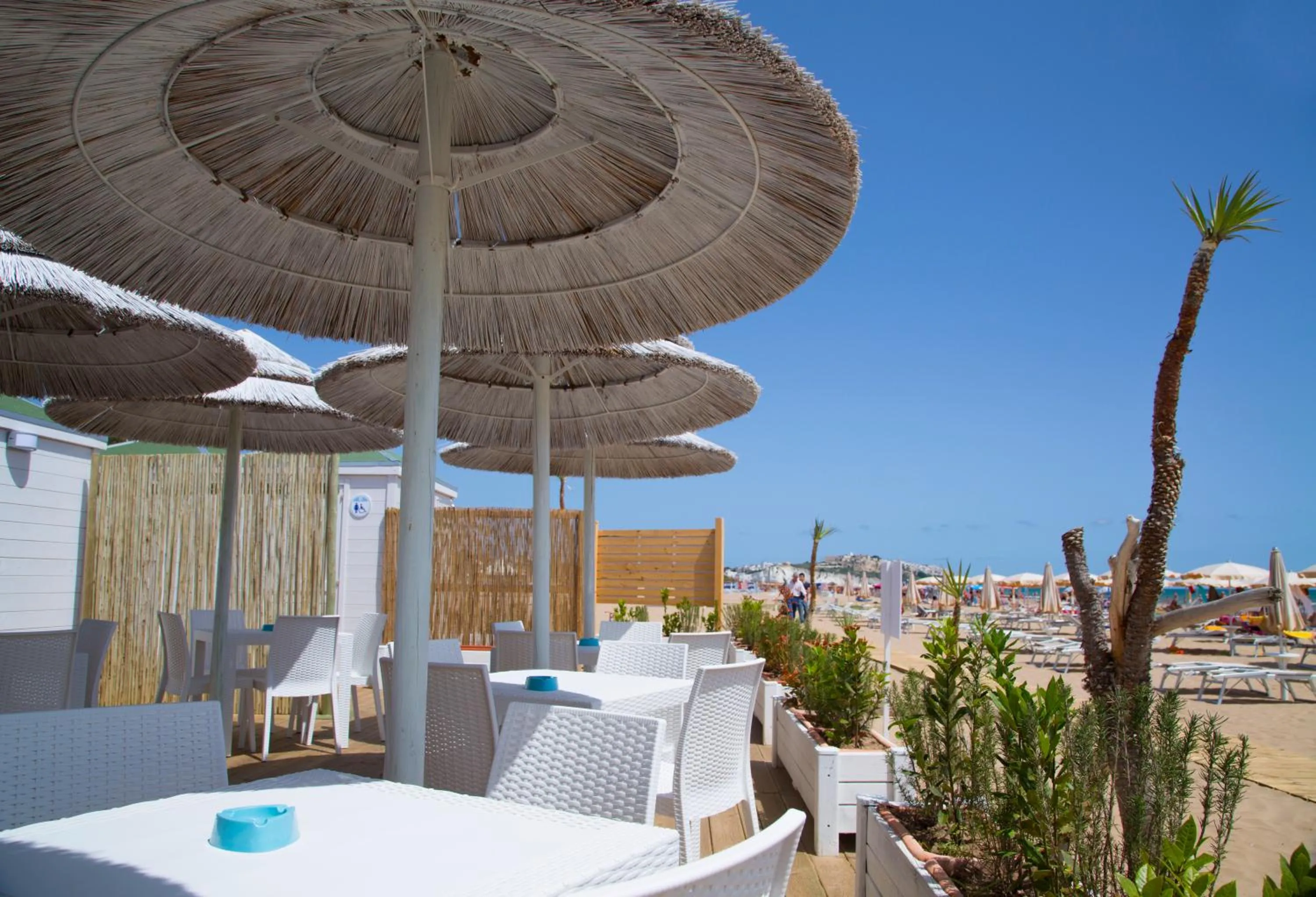 Beach in Garden Hotel Ripa