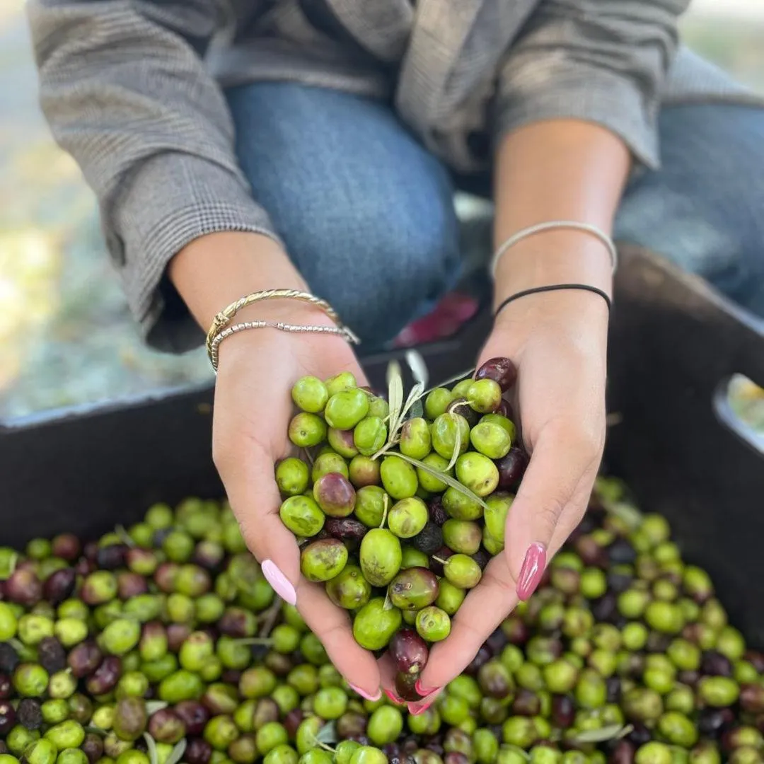 Restaurant/places to eat in UNA HOTELS Tenuta Contessa Farm & SPA Cosenza