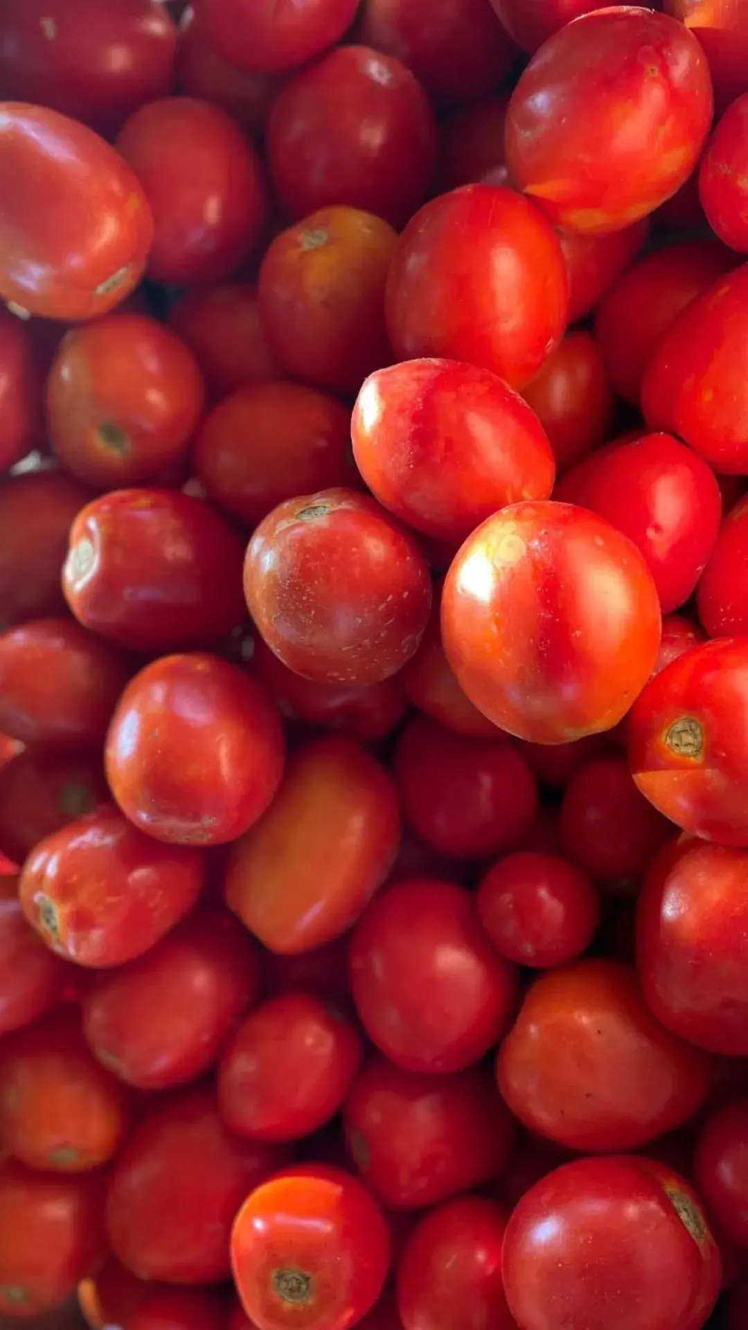 Restaurant/places to eat in UNA HOTELS Tenuta Contessa Farm & SPA Cosenza Restaurant/places to eat in UNA HOTELS Tenuta Contessa Farm & SPA Cosenza