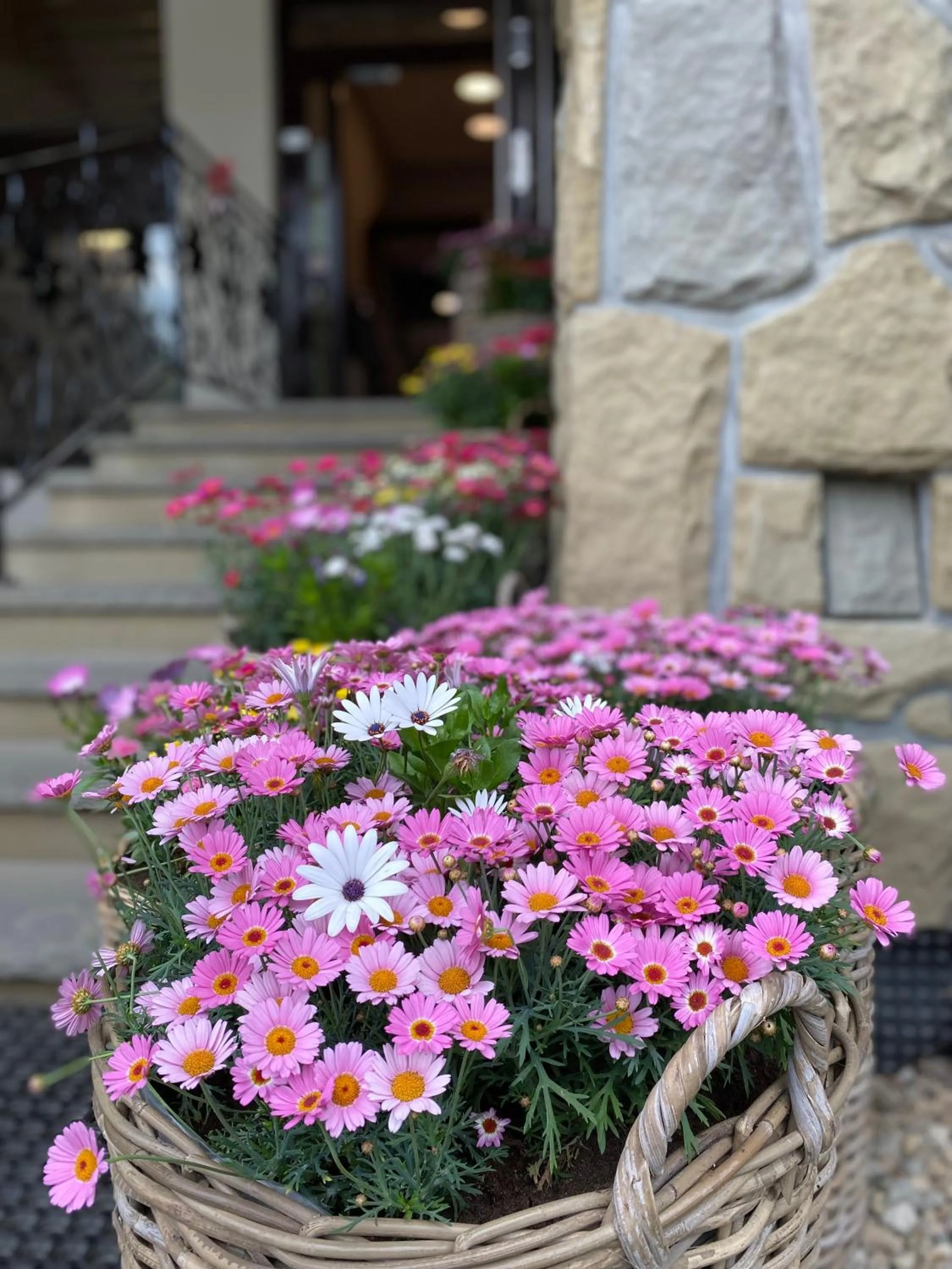 Property building in Hotel Nosal Ski & Wine