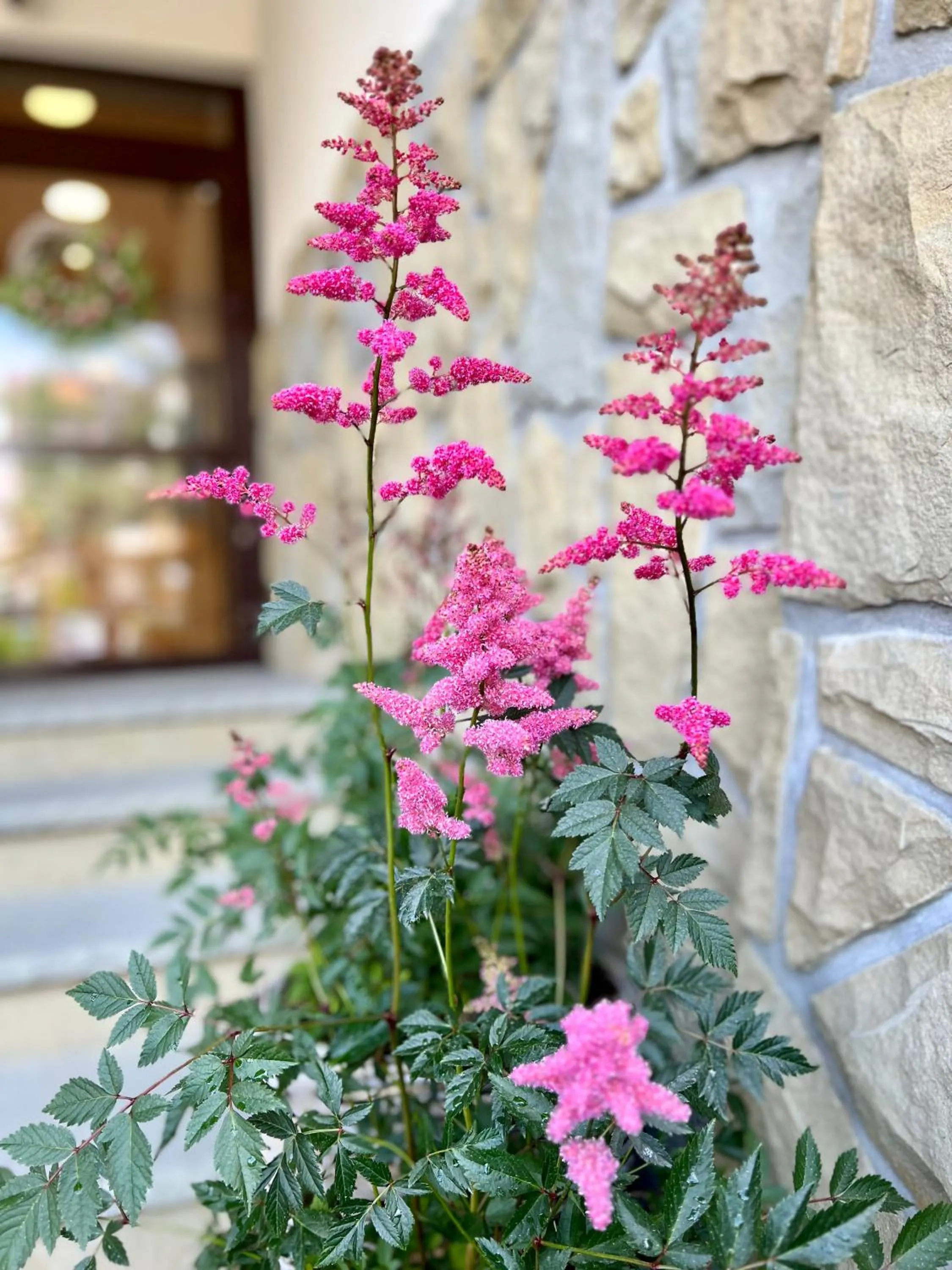 Spring in Hotel Nosal Ski & Wine