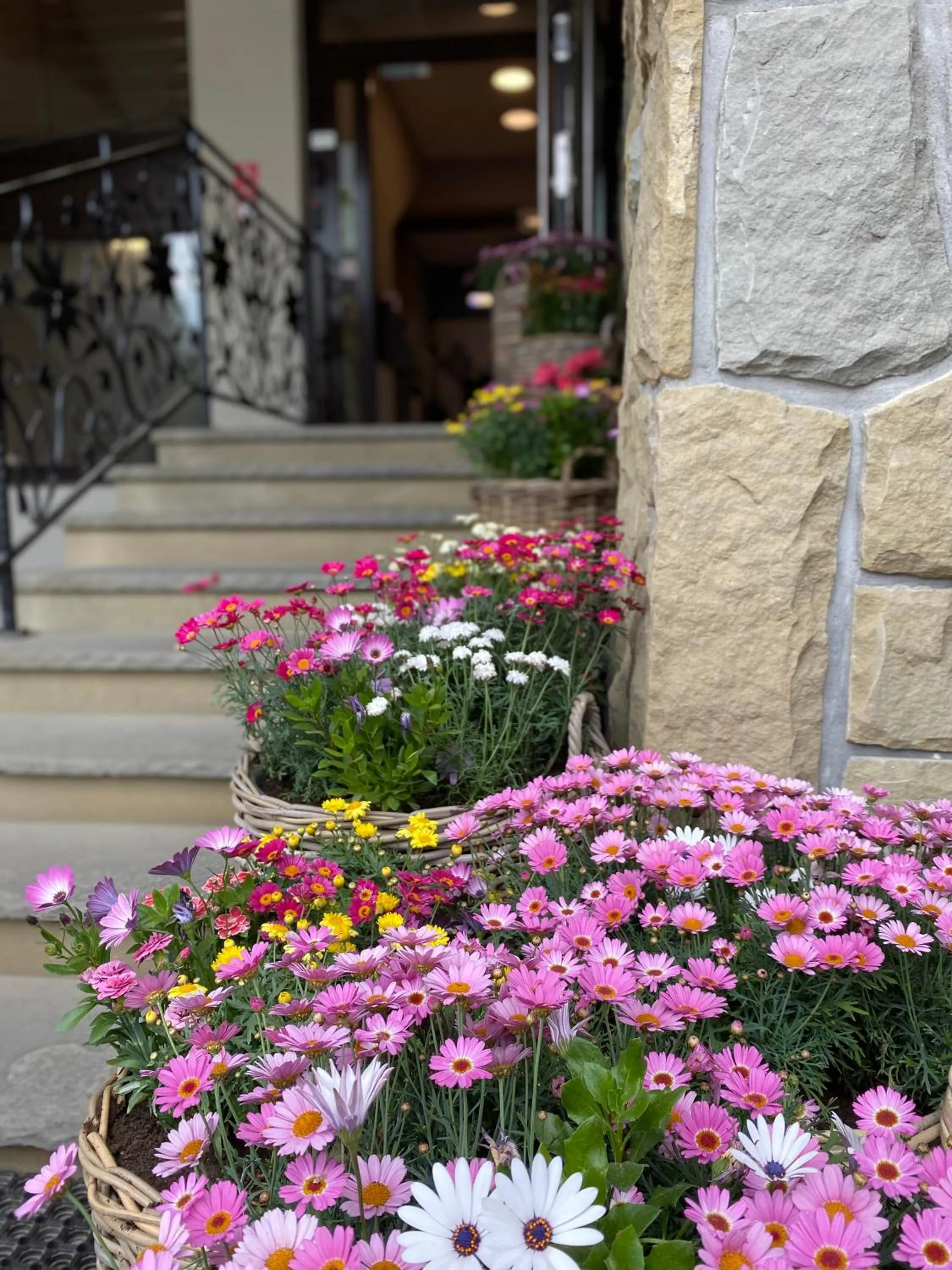 Property building in Hotel Nosal Ski & Wine