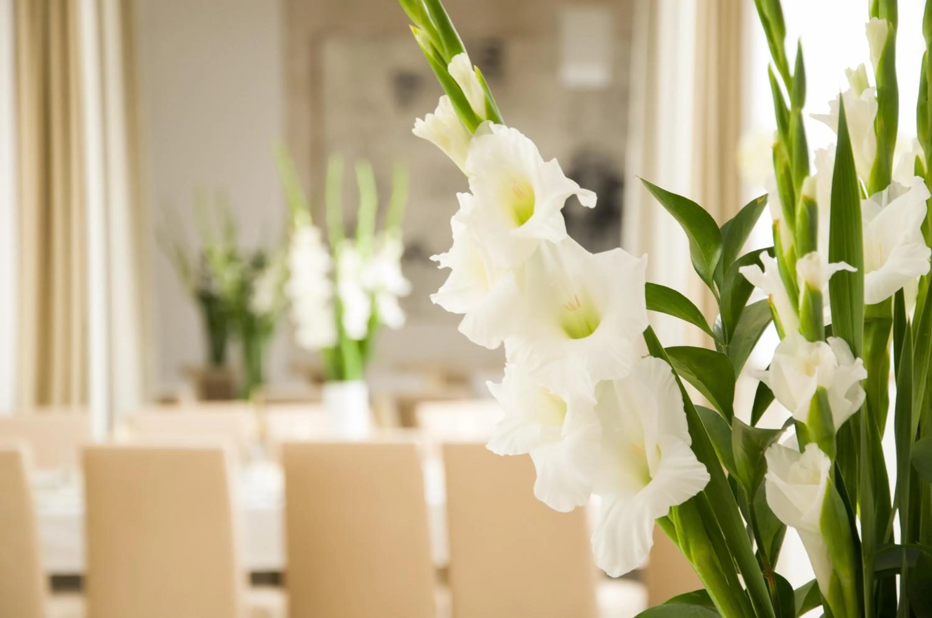 Lobby or reception in Hotel Petropol