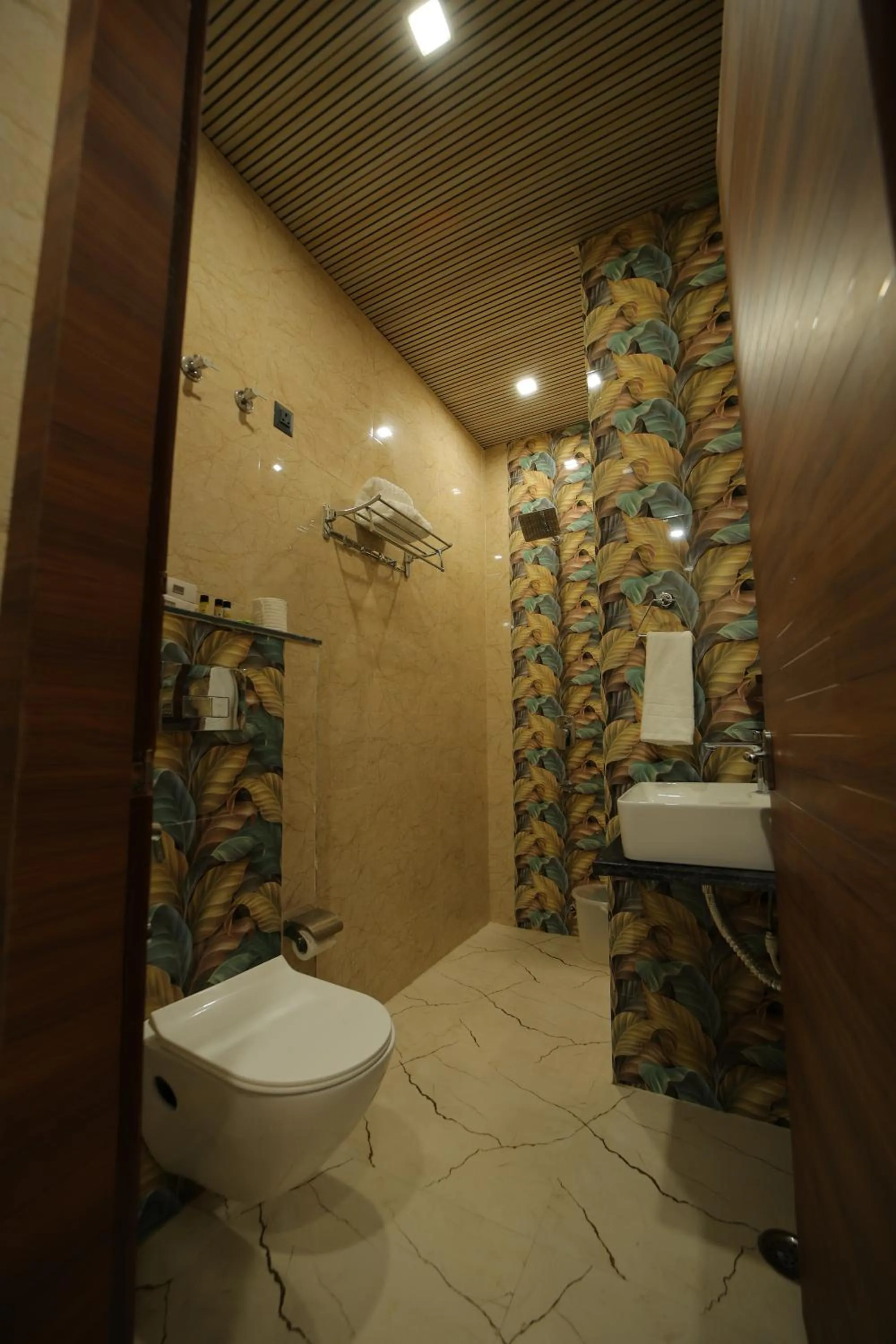 Shower in Hotel Dev Vilas , Agra