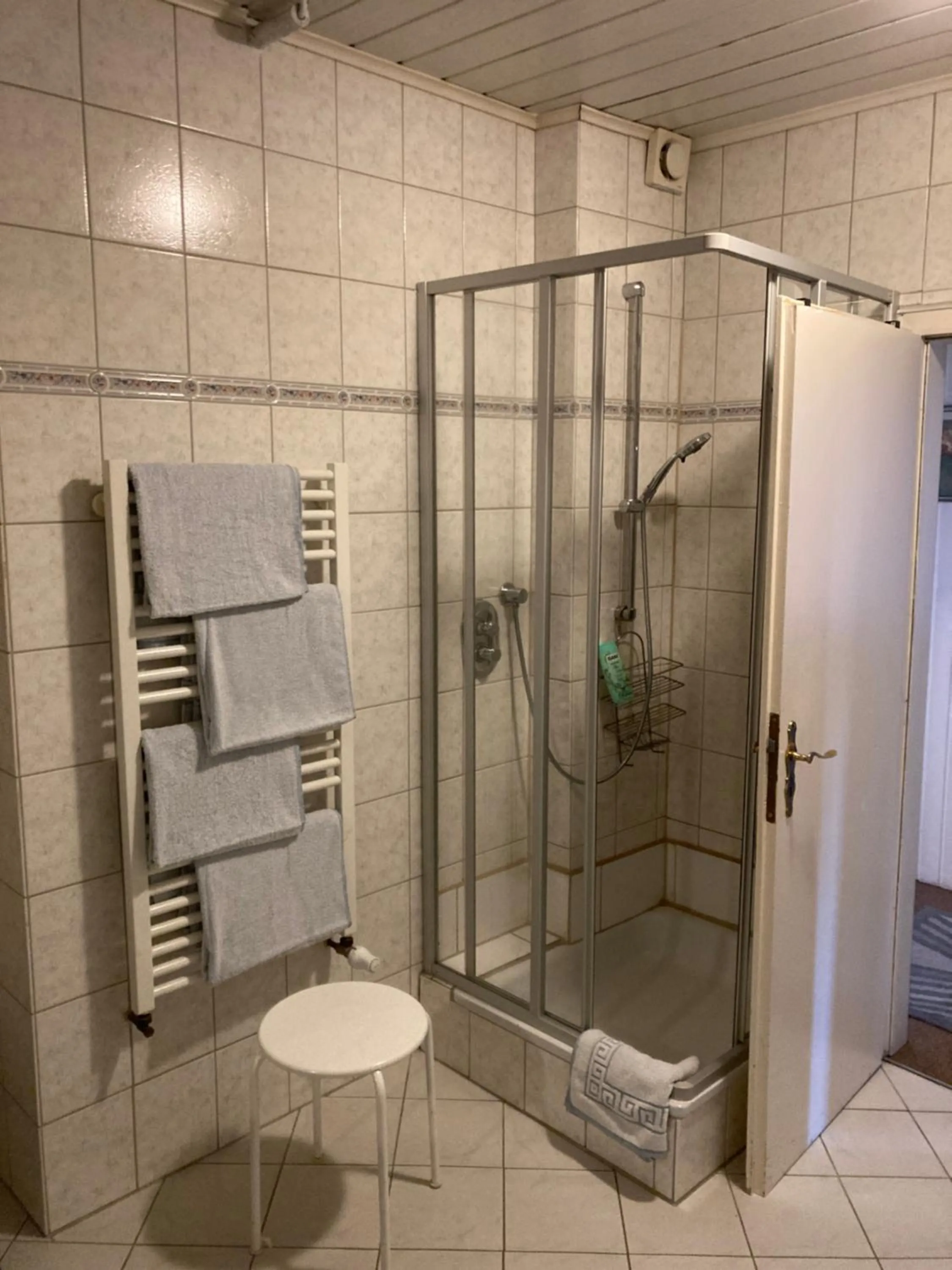 Shower in Hotel Deutsches Haus