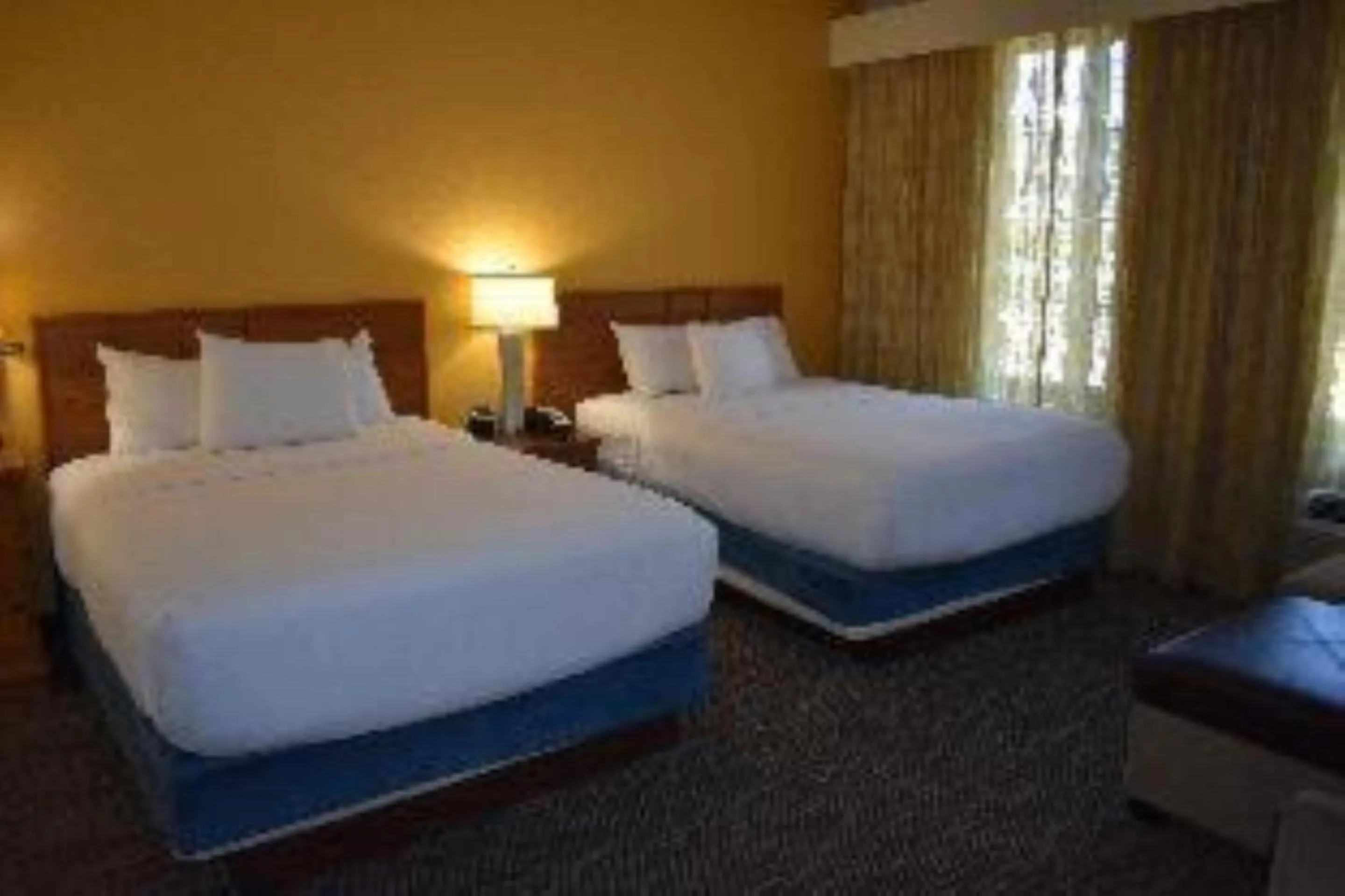 Bedroom, Bed in Studio 6 Carlsbad CA