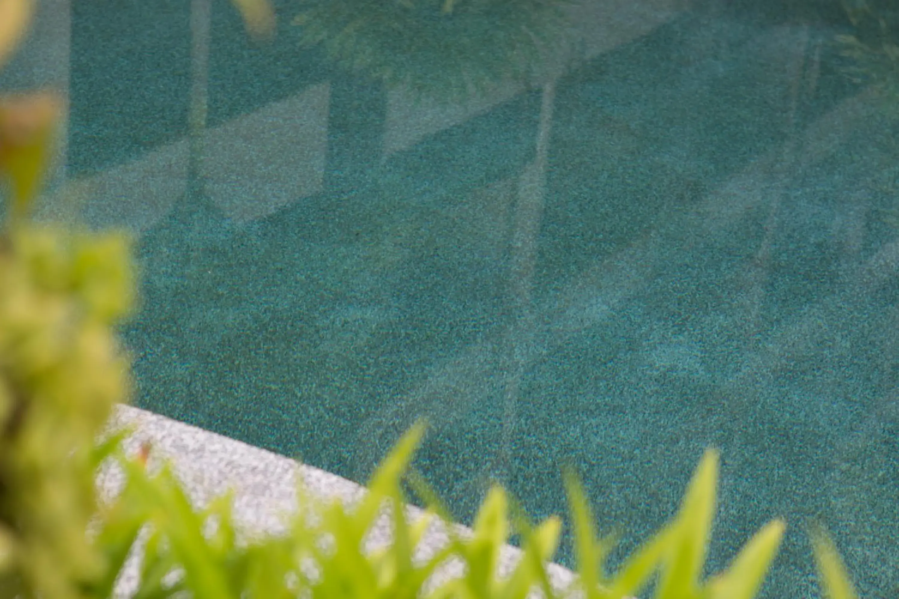 Swimming pool, Garden in Golden Tulip Essential Pattaya