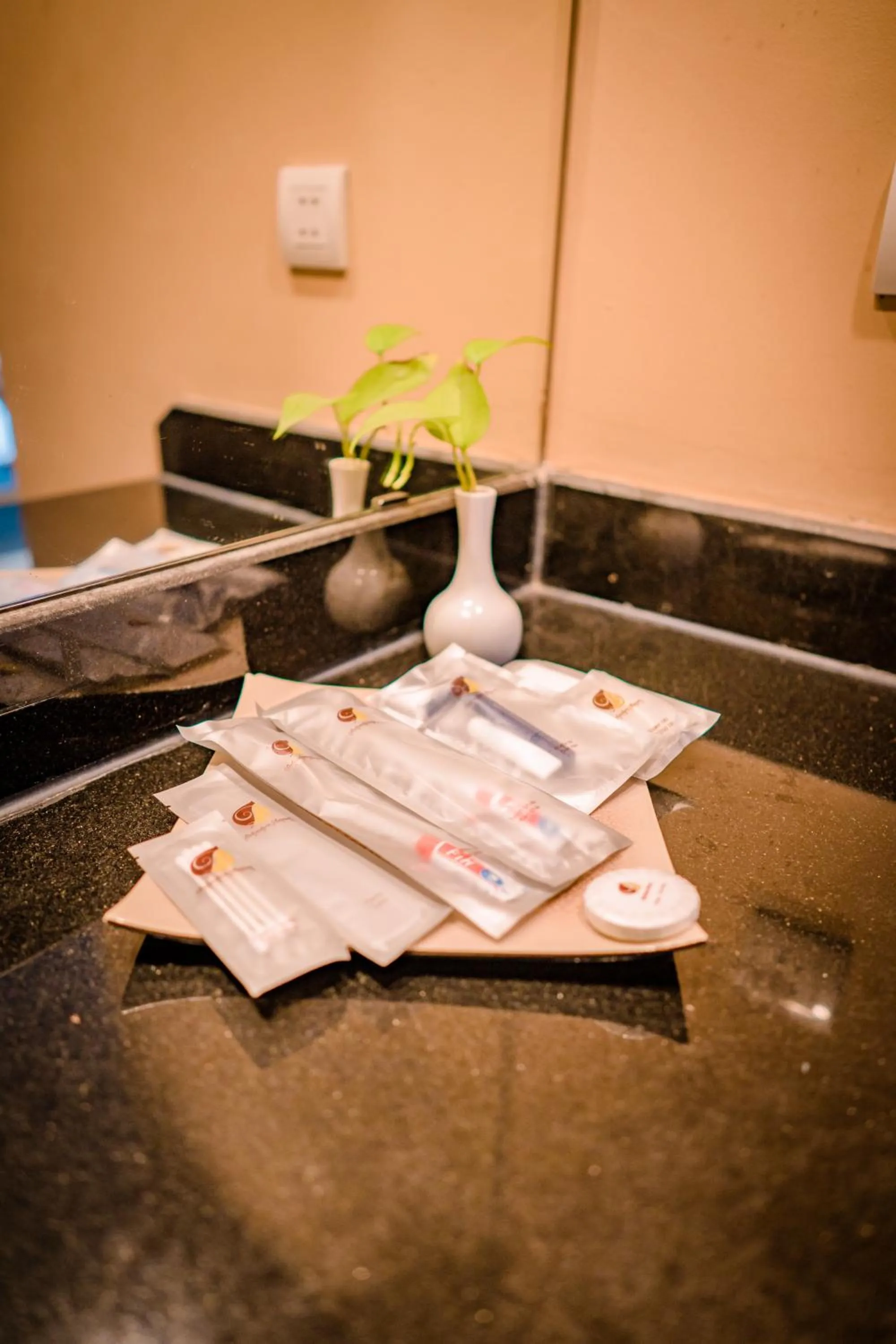 Belvedere Tam Dao Resort