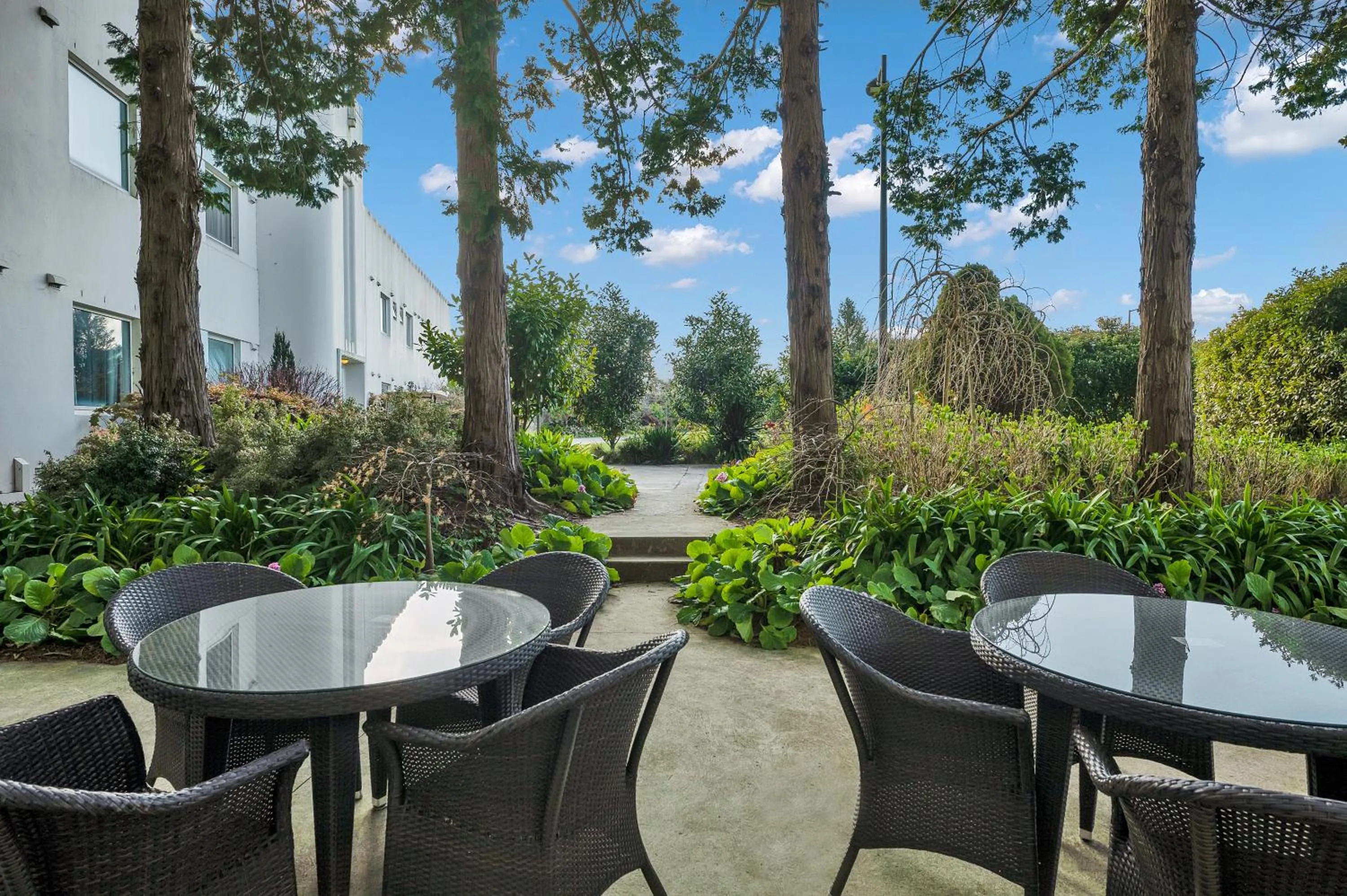 Garden in Hydro Majestic Blue Mountains