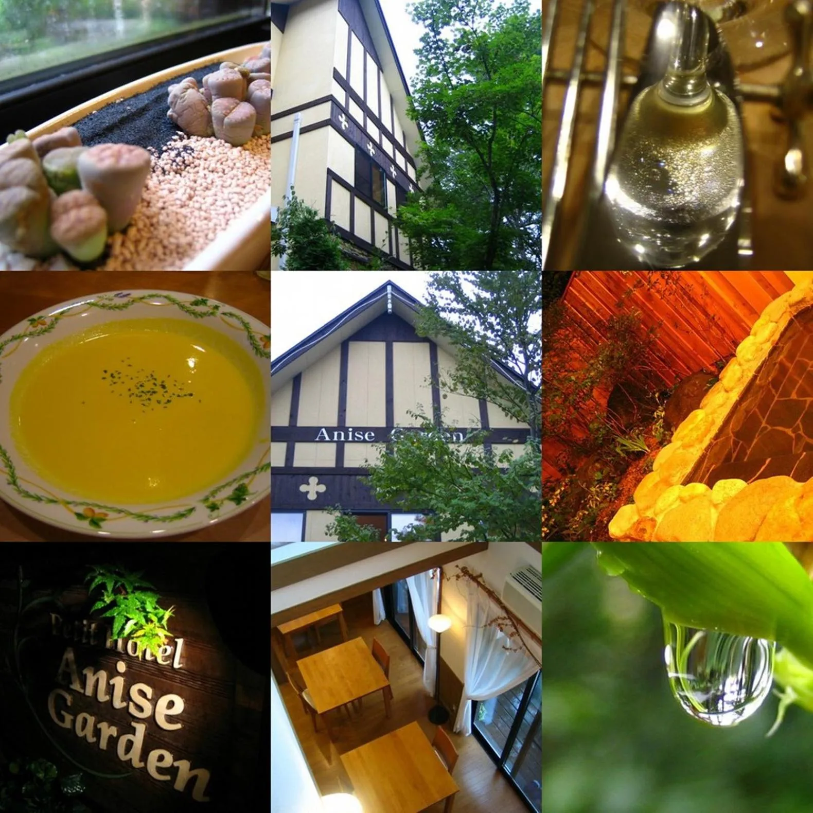 Other in Anise Garden