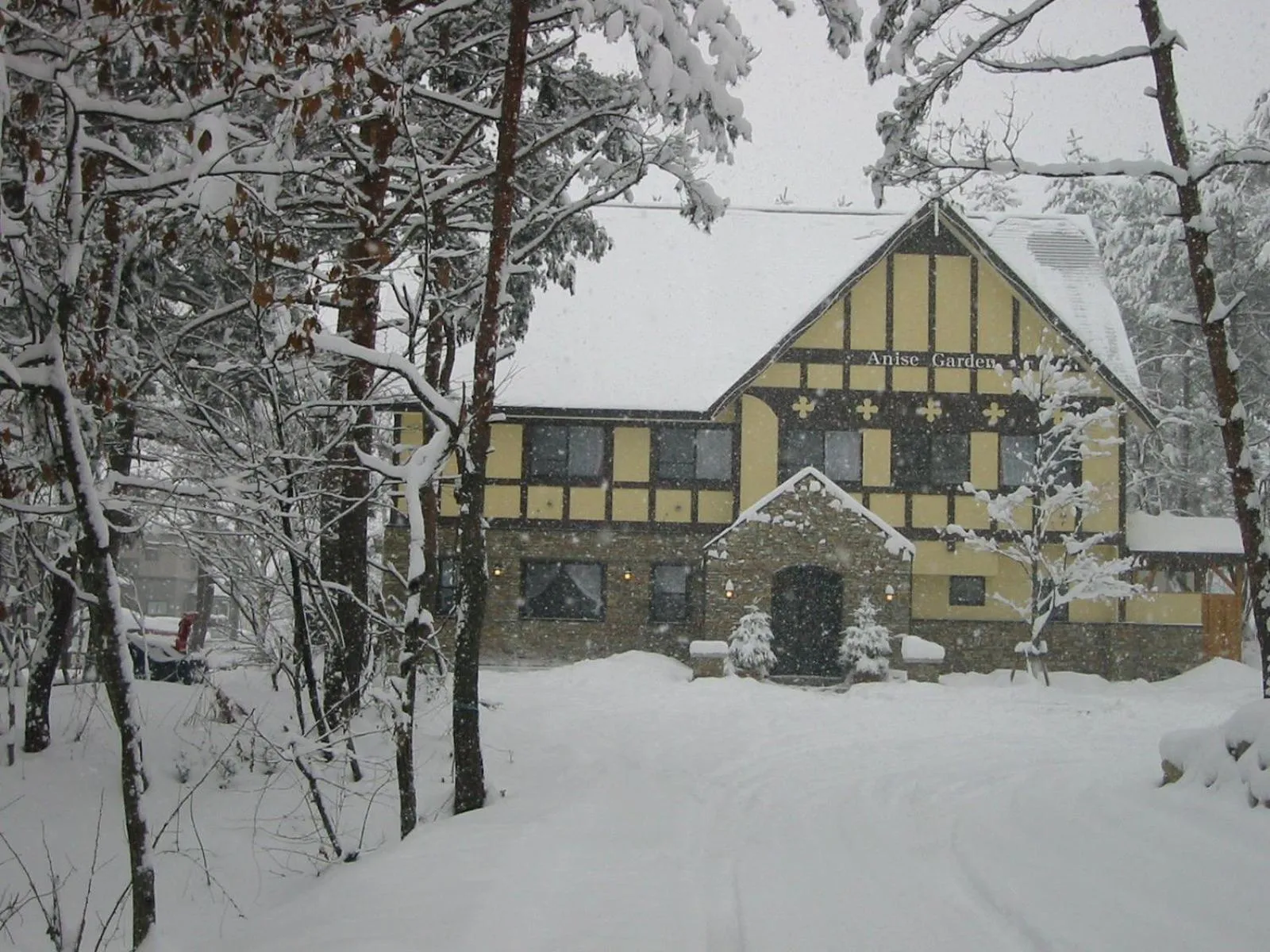 Property building in Anise Garden