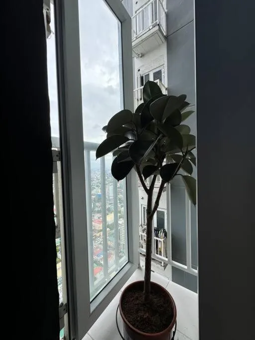 Casa Laforteza - Morato