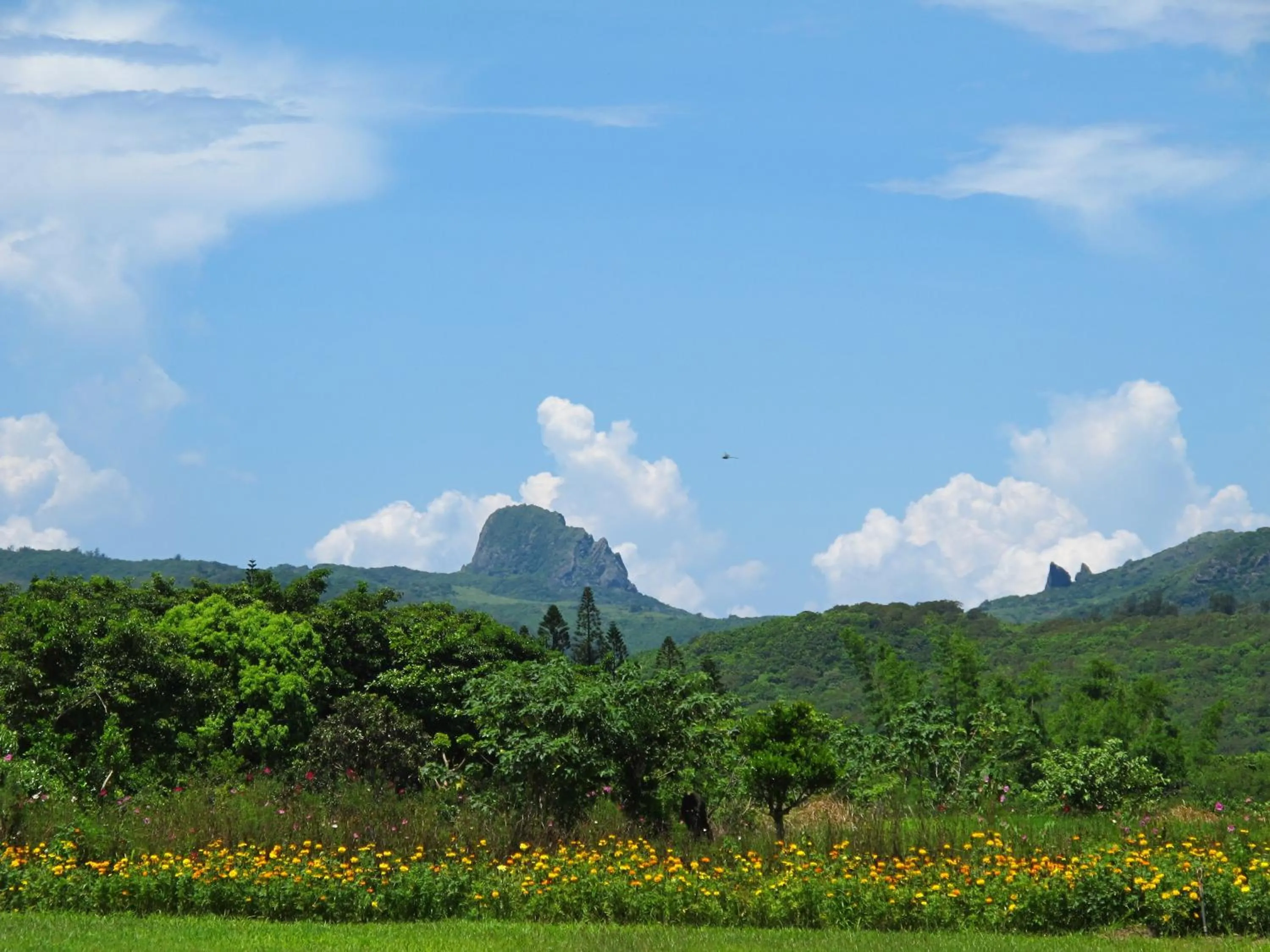 Area and facilities in Butterfly B&B