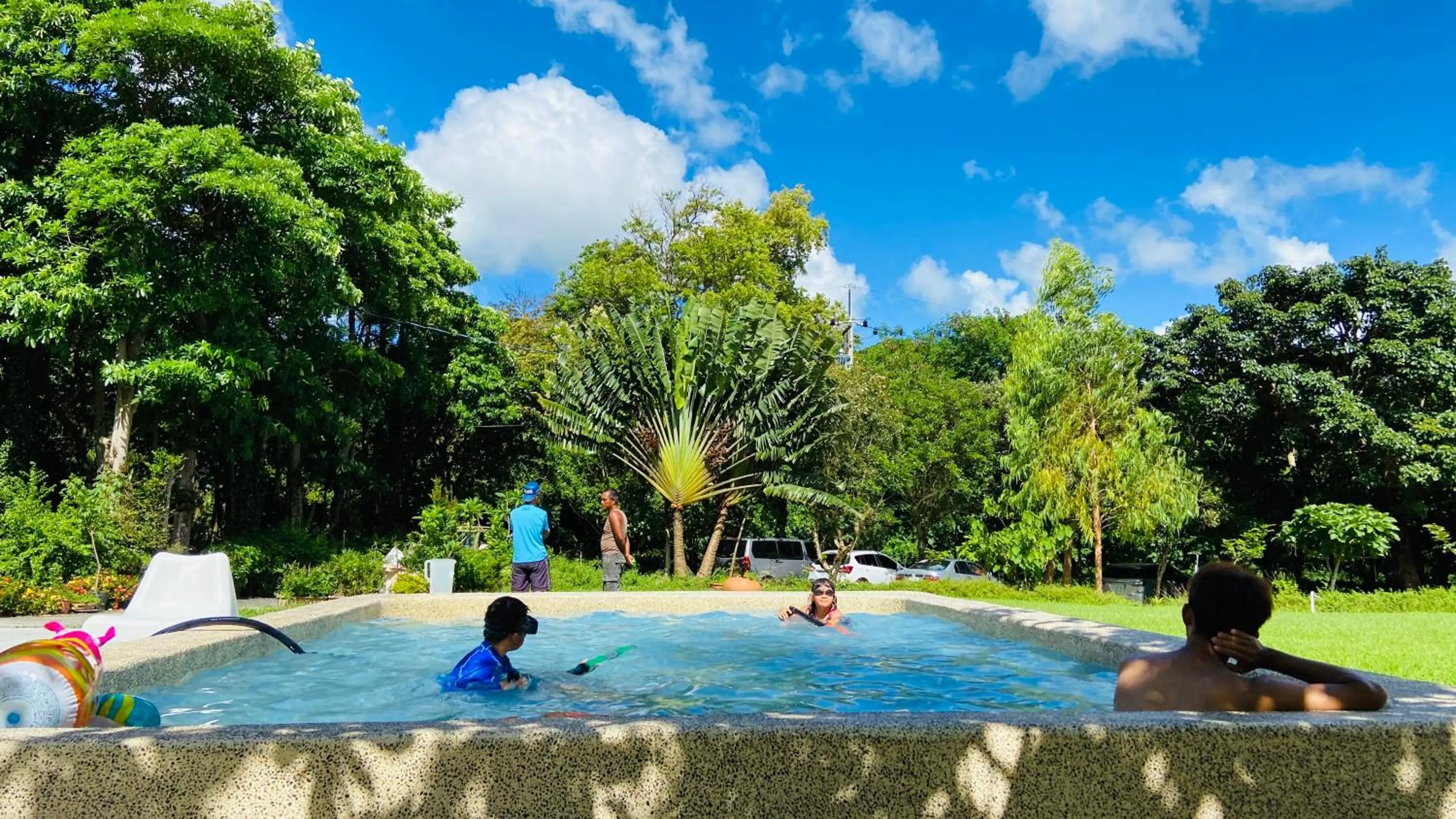 Swimming pool in Butterfly B&B