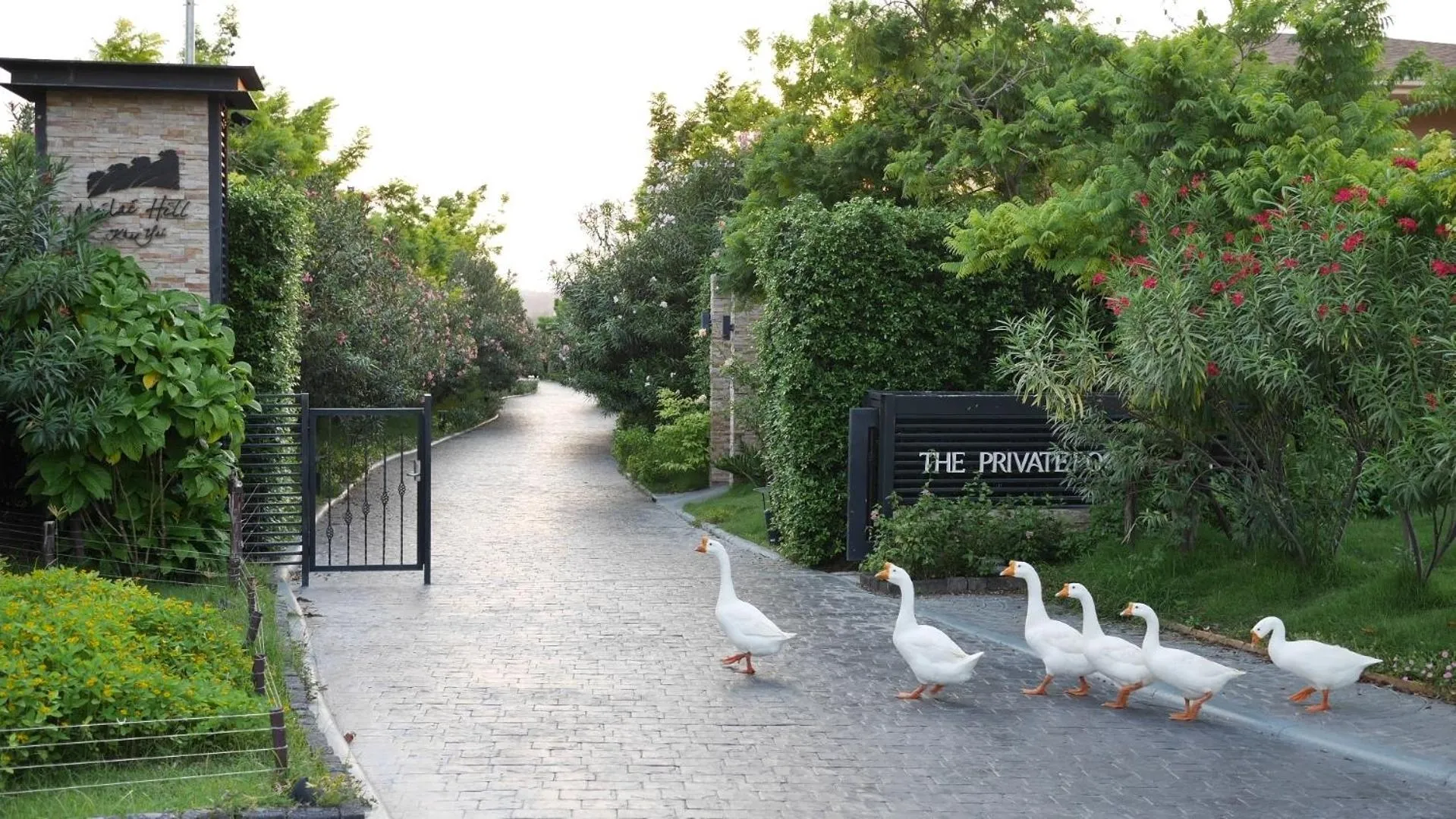 Natural landscape in The Private Pool Villas at Civilai Hill Khao Yai