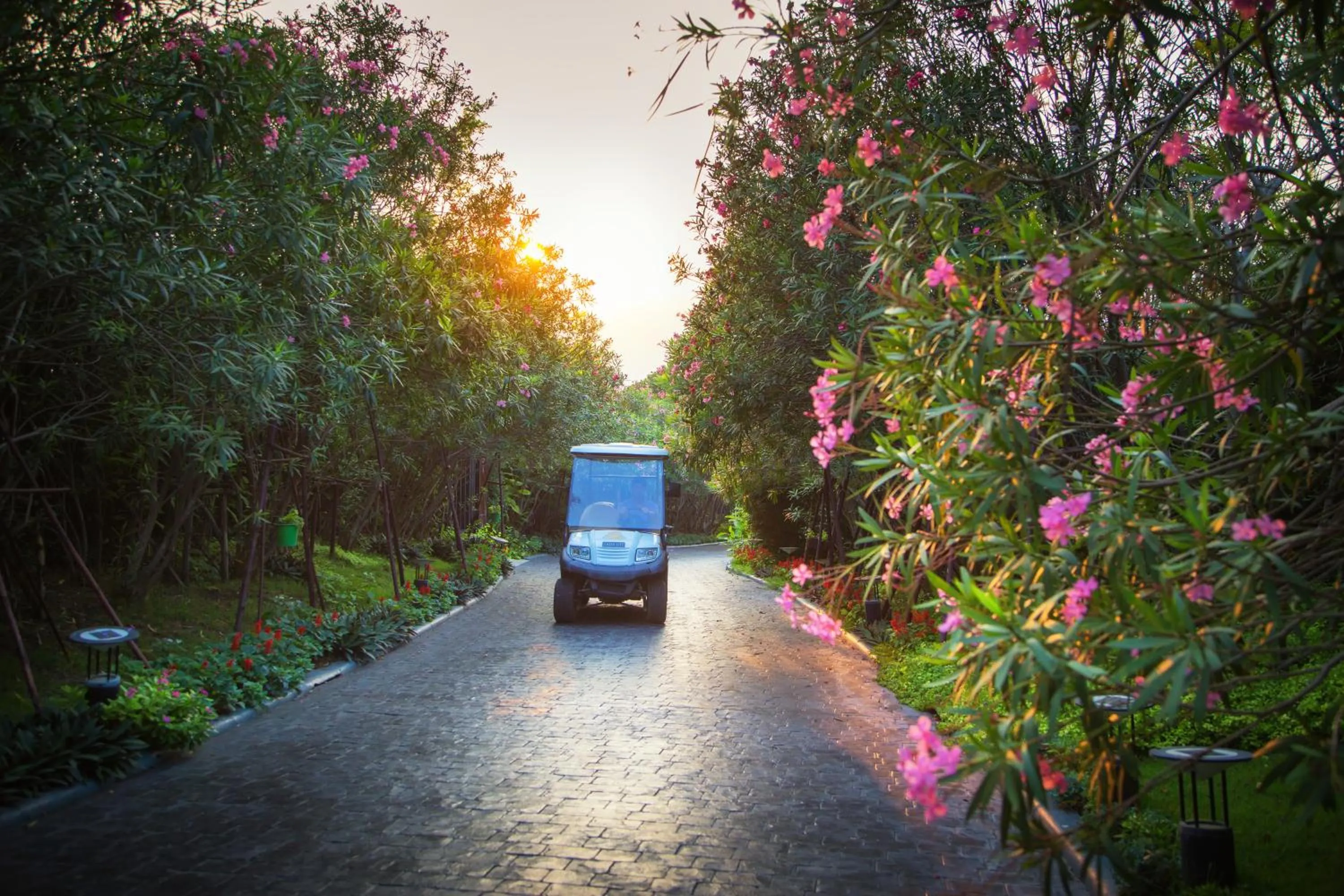 Natural landscape in The Private Pool Villas at Civilai Hill Khao Yai