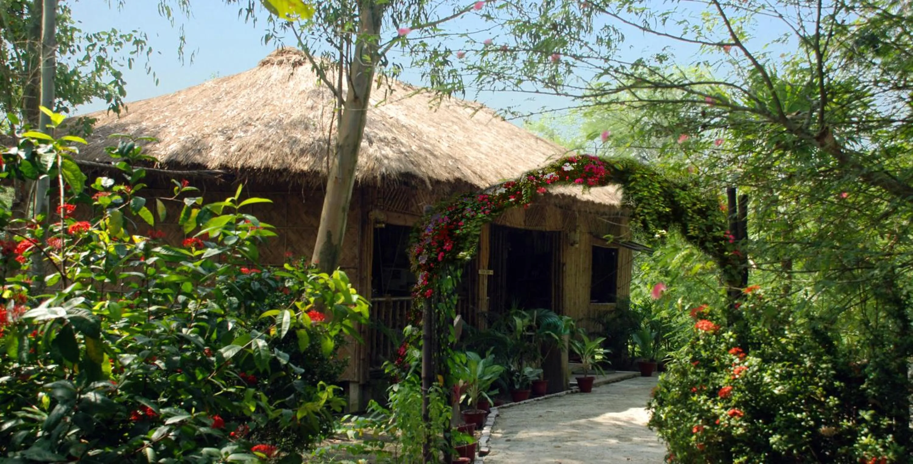 Library in Sunderban Tiger Camp