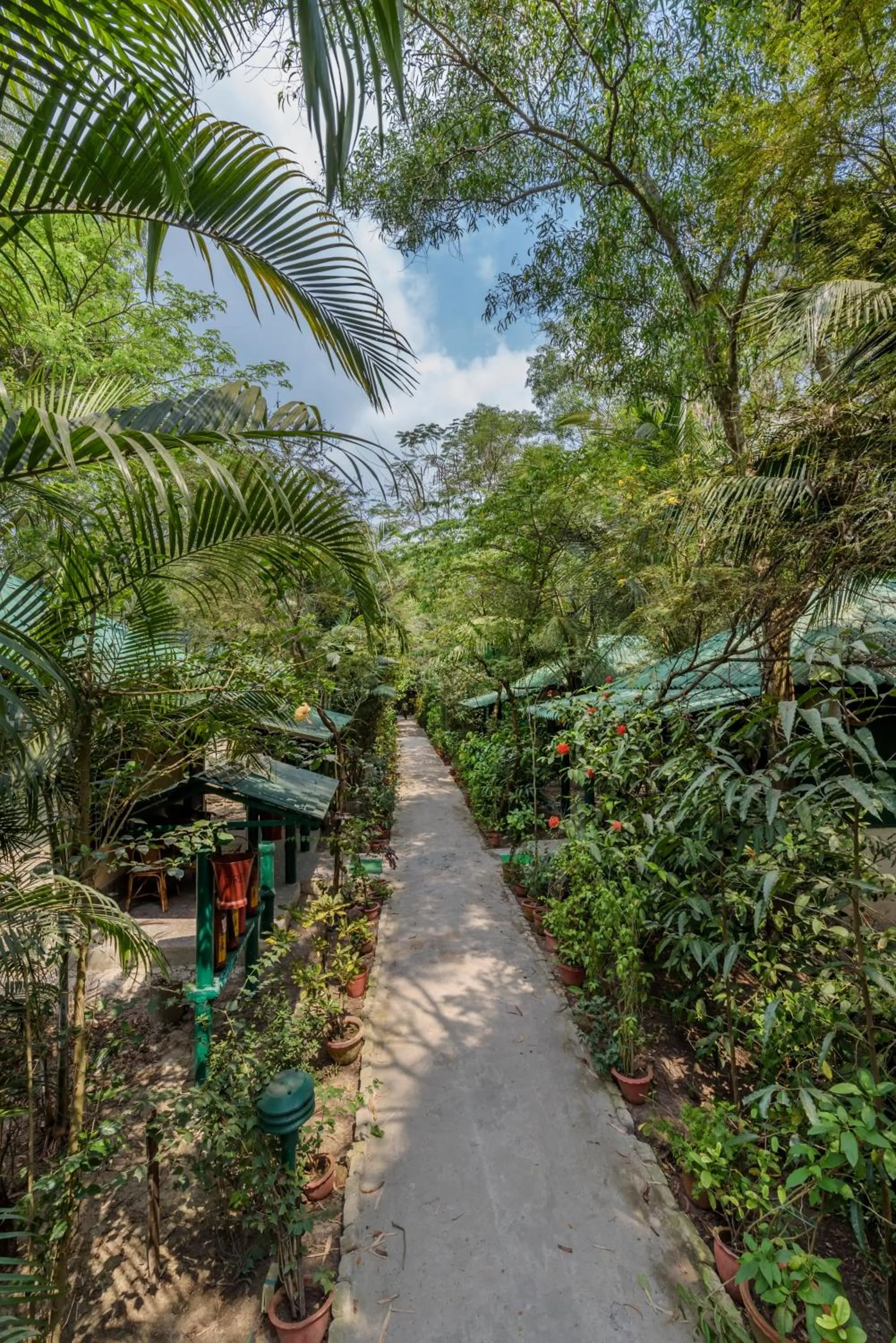 Natural landscape in Sunderban Tiger Camp