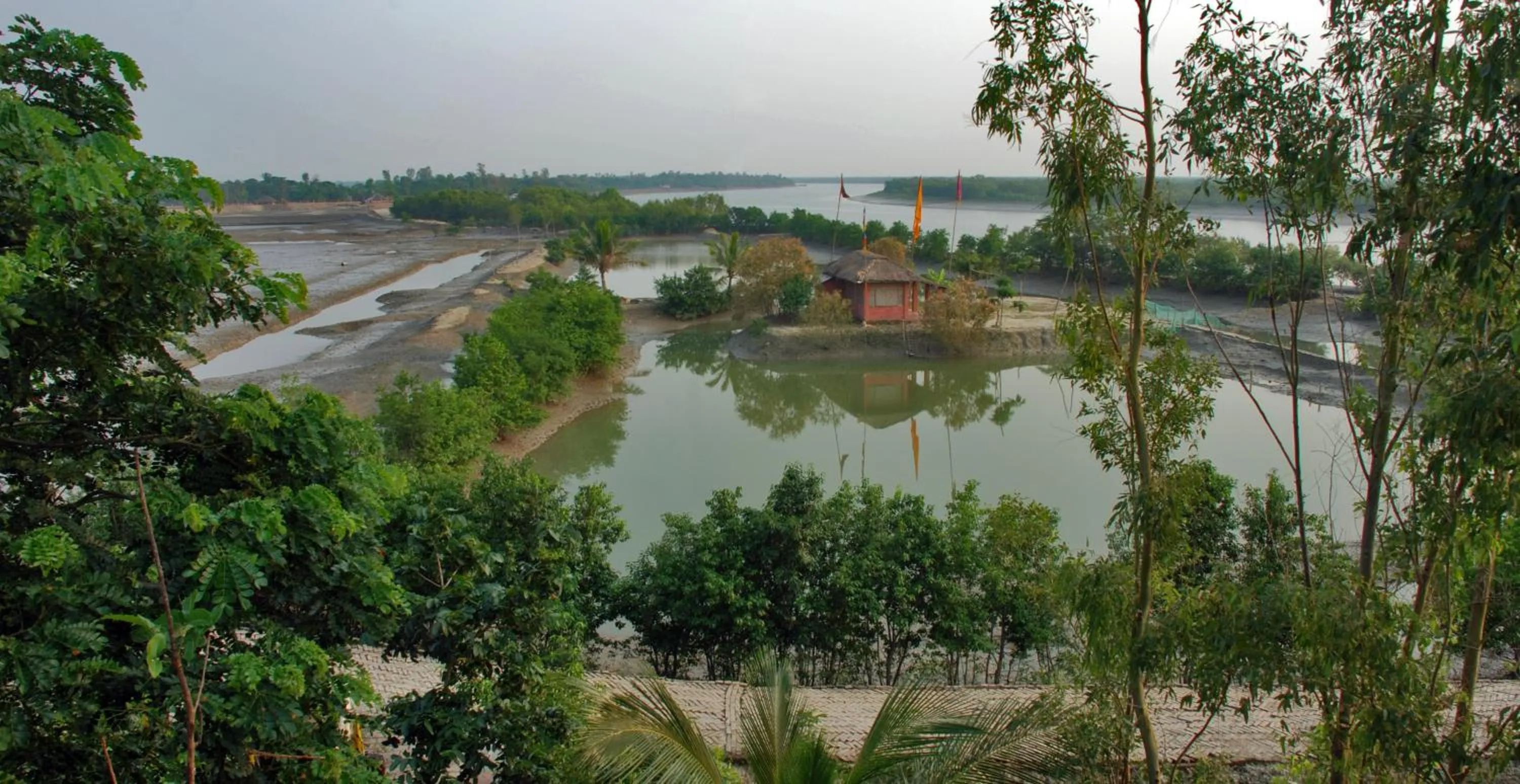 View (from property/room) in Sunderban Tiger Camp