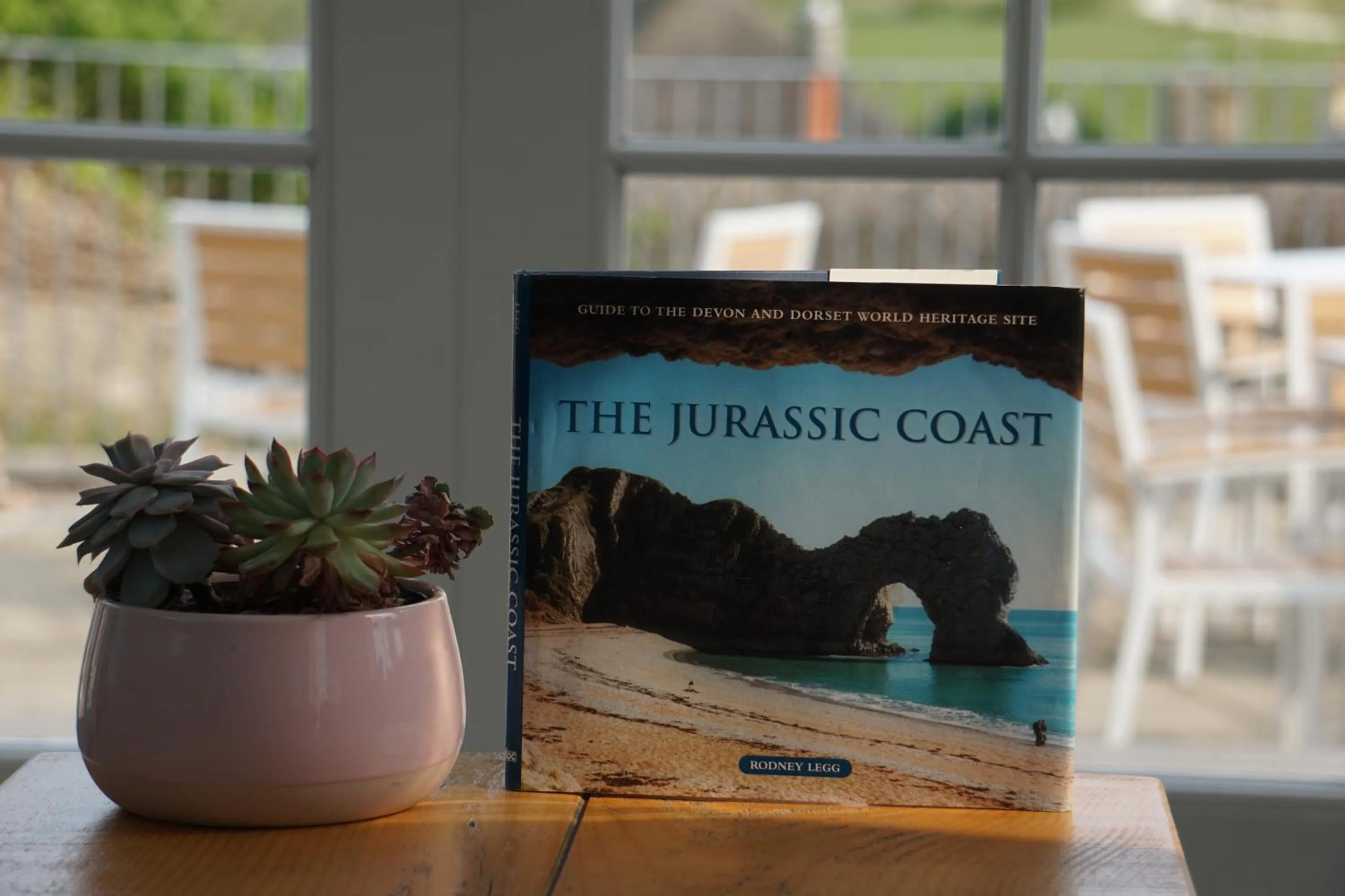 Lounge or bar in Durdle Door Hotel