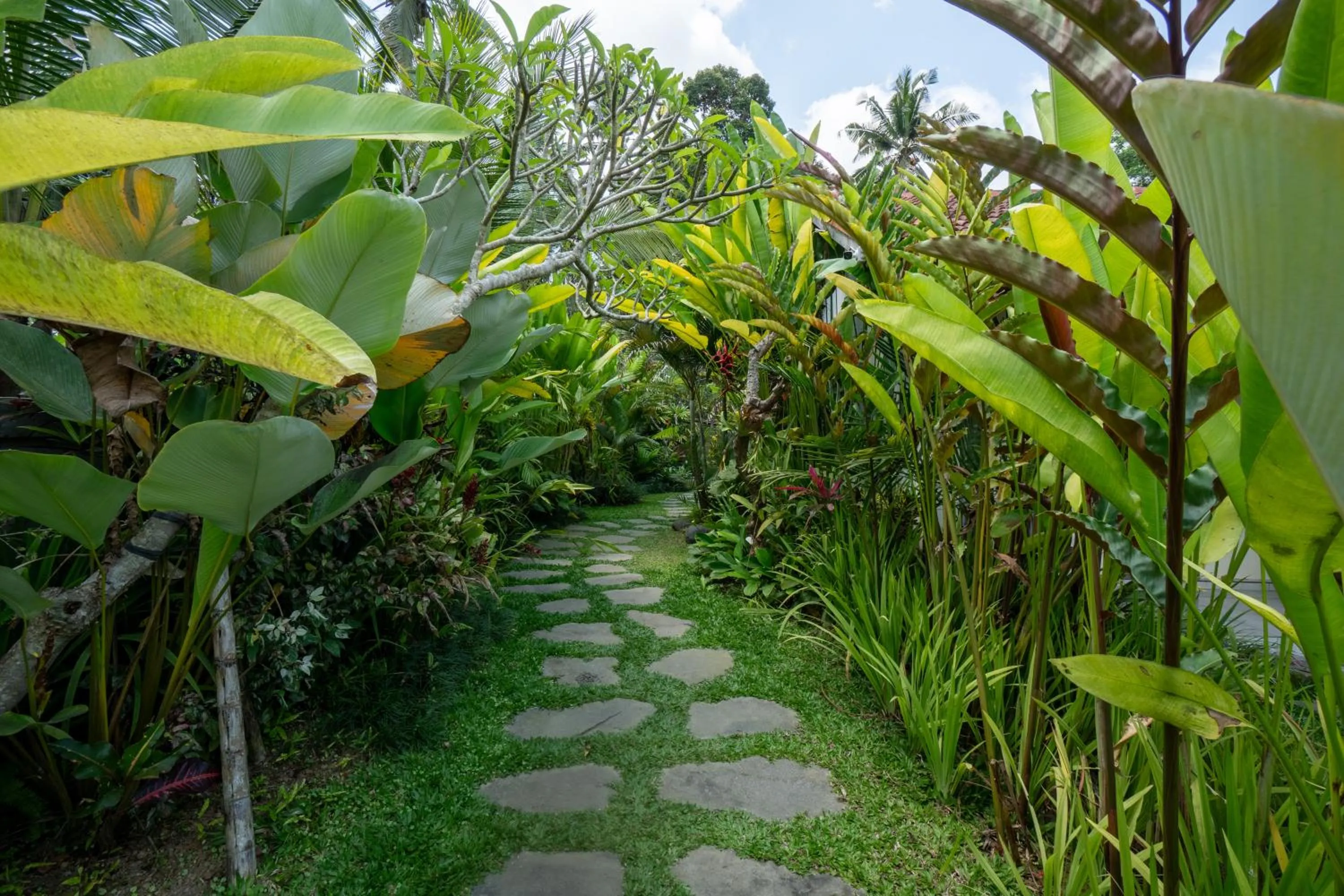 Spring in Puri Kurnia Ayu