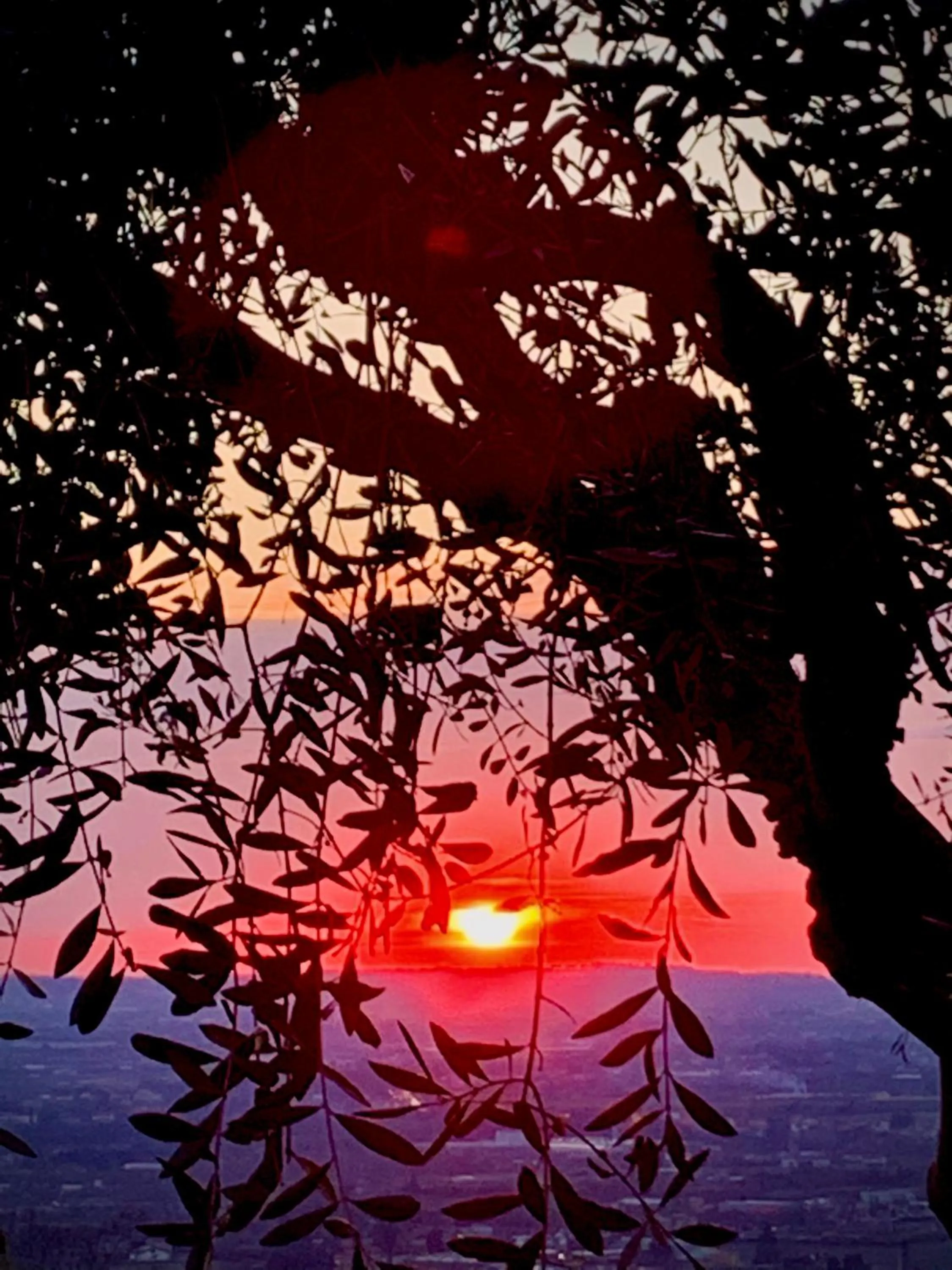 Natural landscape in Agriturismo Il Pianetto