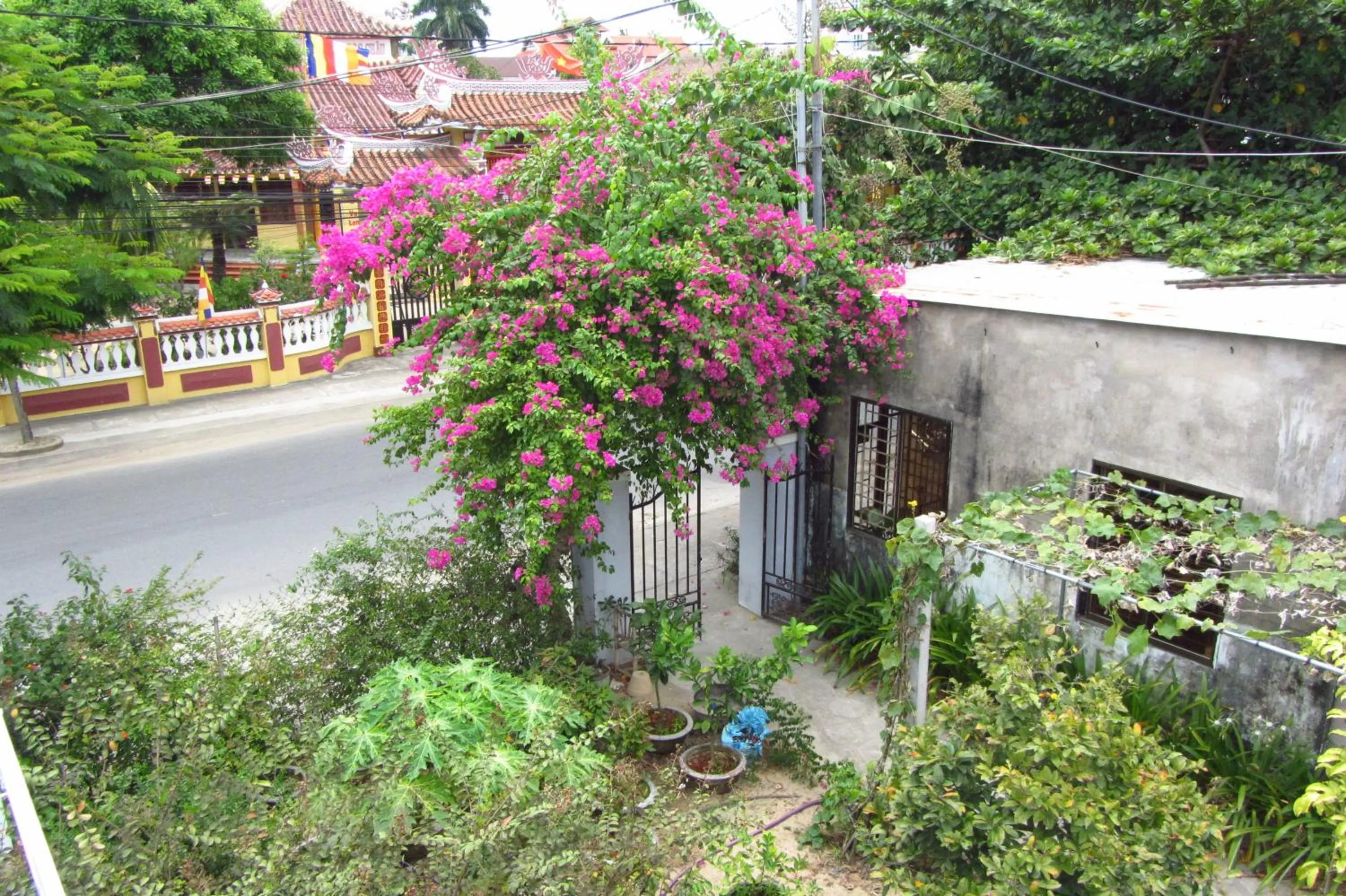 Day in Charming Homestay