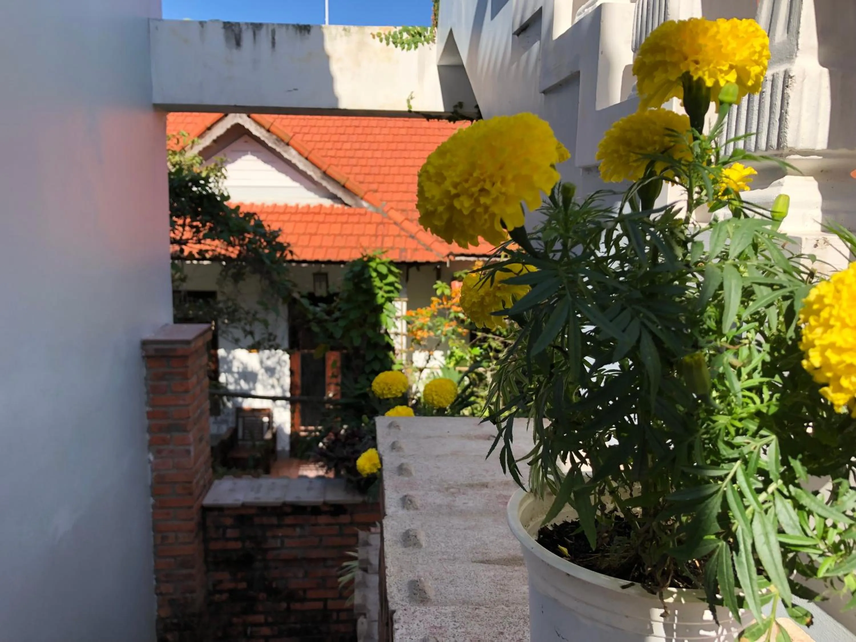 Area and facilities in Charming Homestay