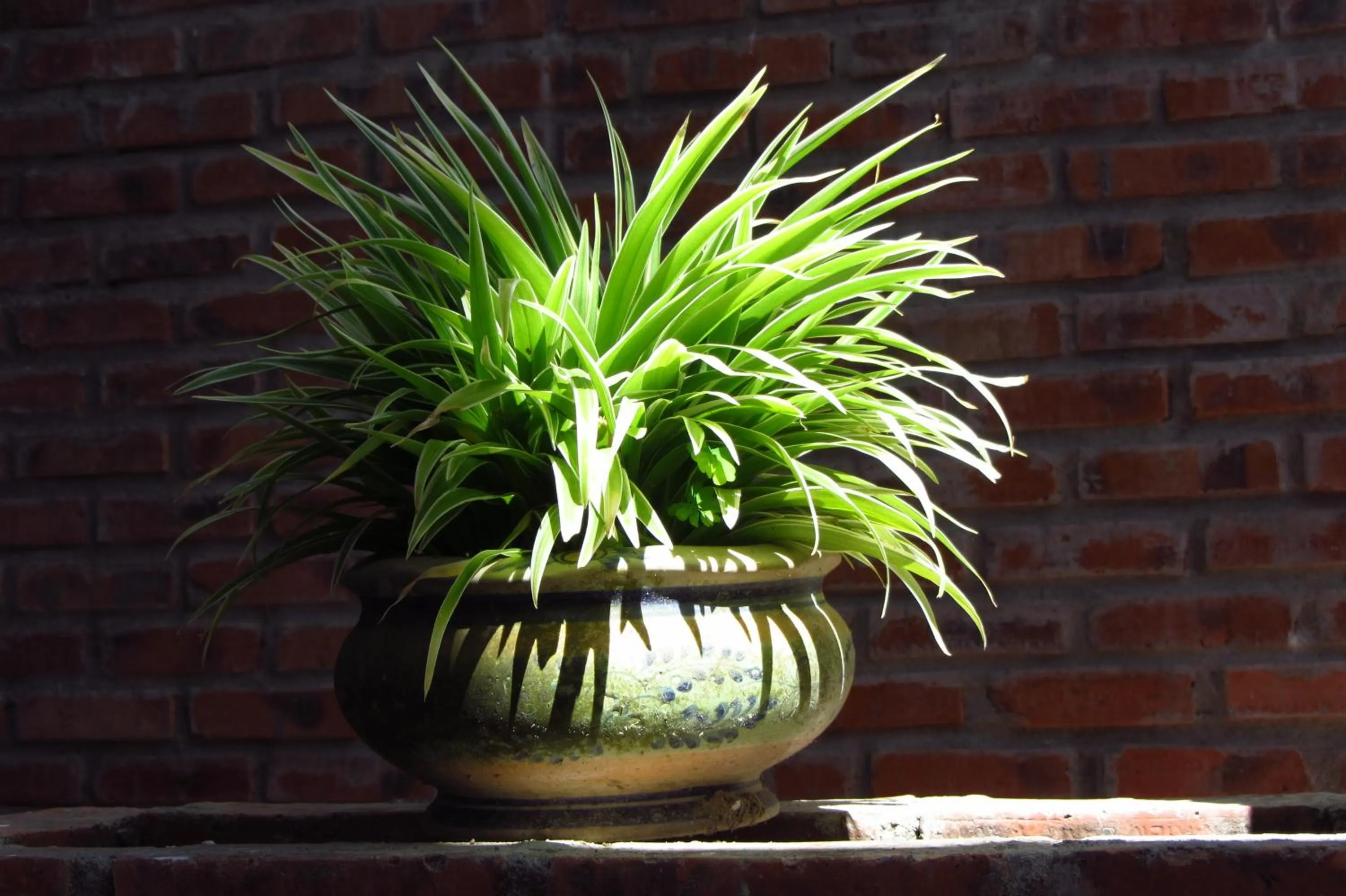 Decorative detail in Charming Homestay