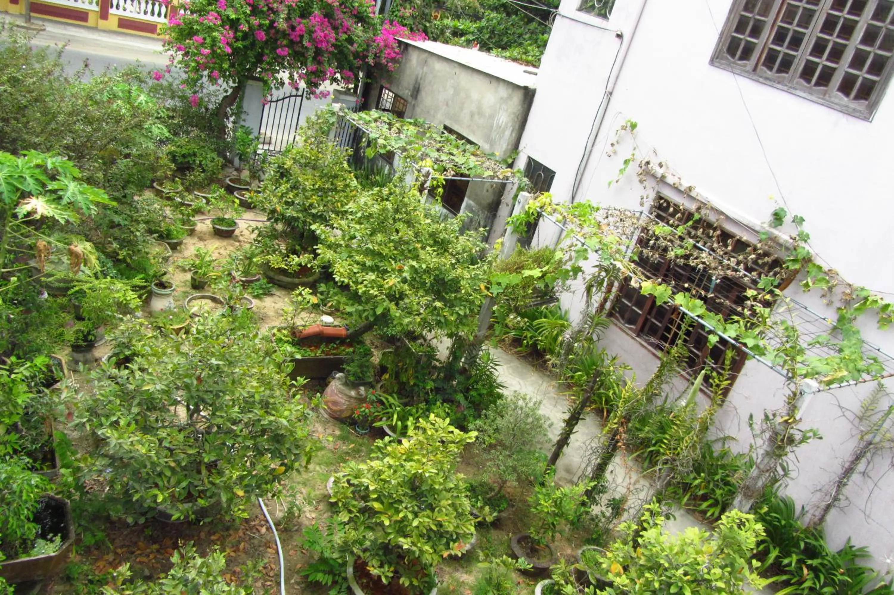 Day in Charming Homestay