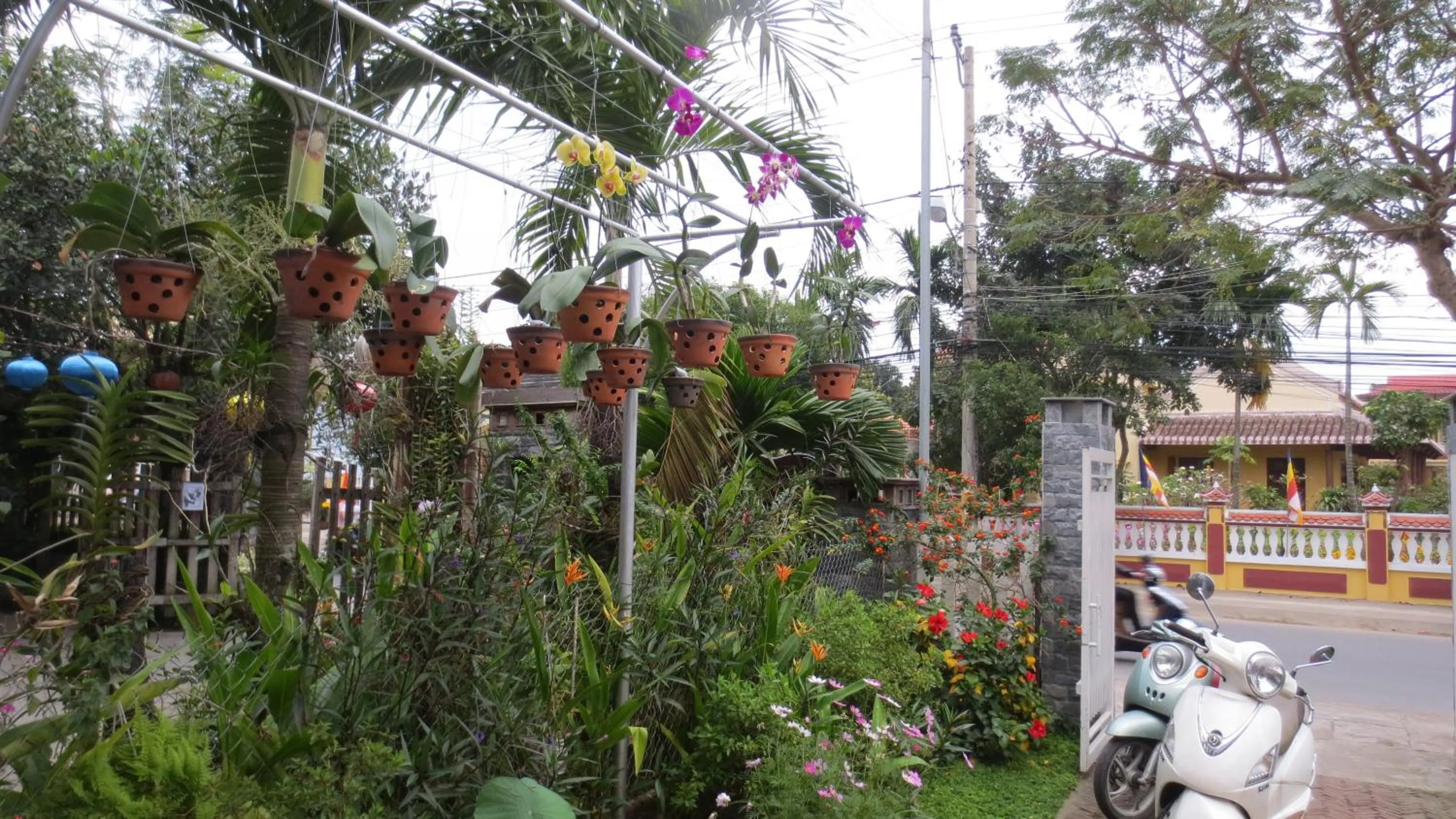 Garden in Charming Homestay
