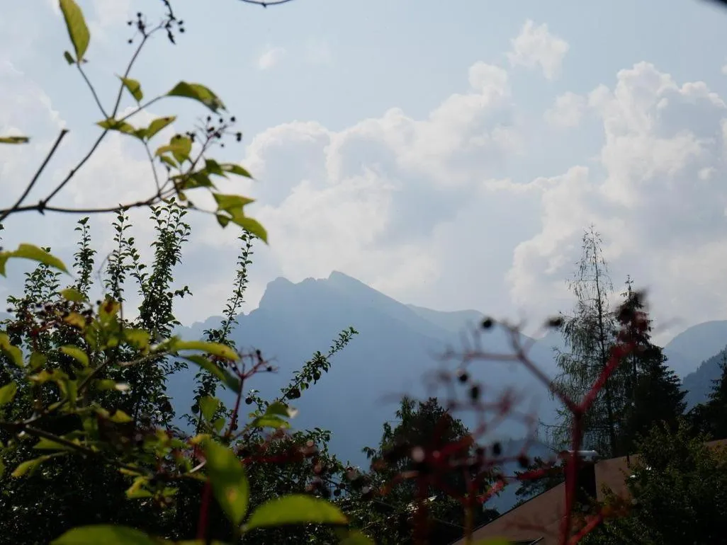 Natural landscape in Alpenhotel Waidmannsheil