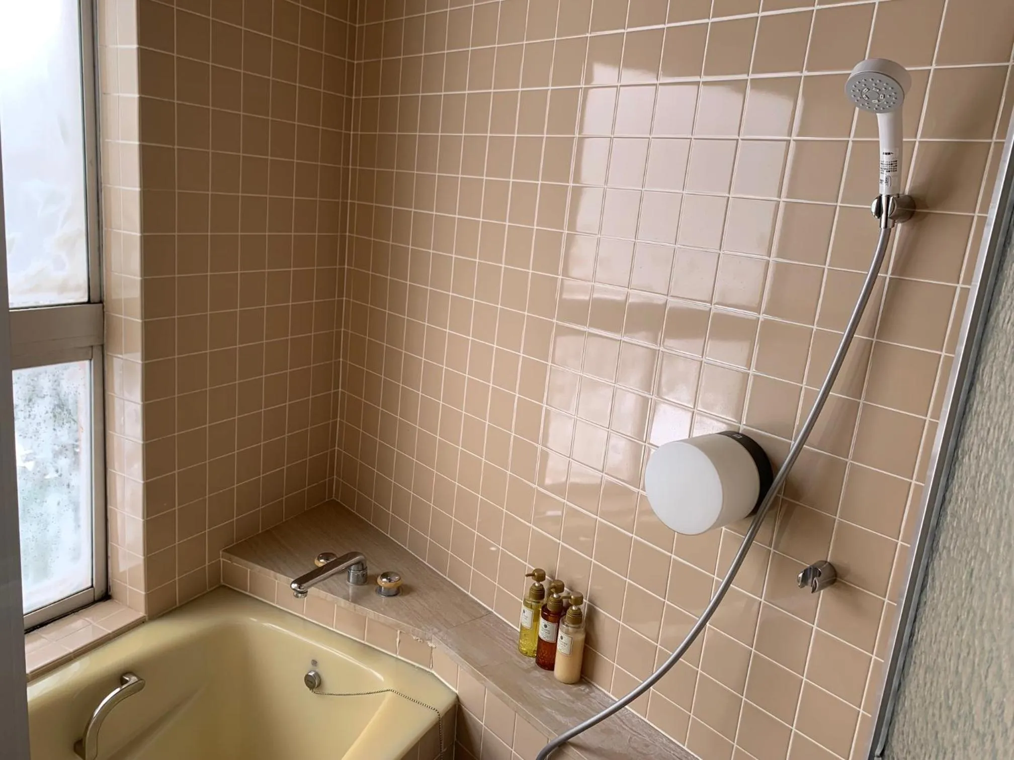 Bathroom in Kurobe UnazukiOnsen Togen