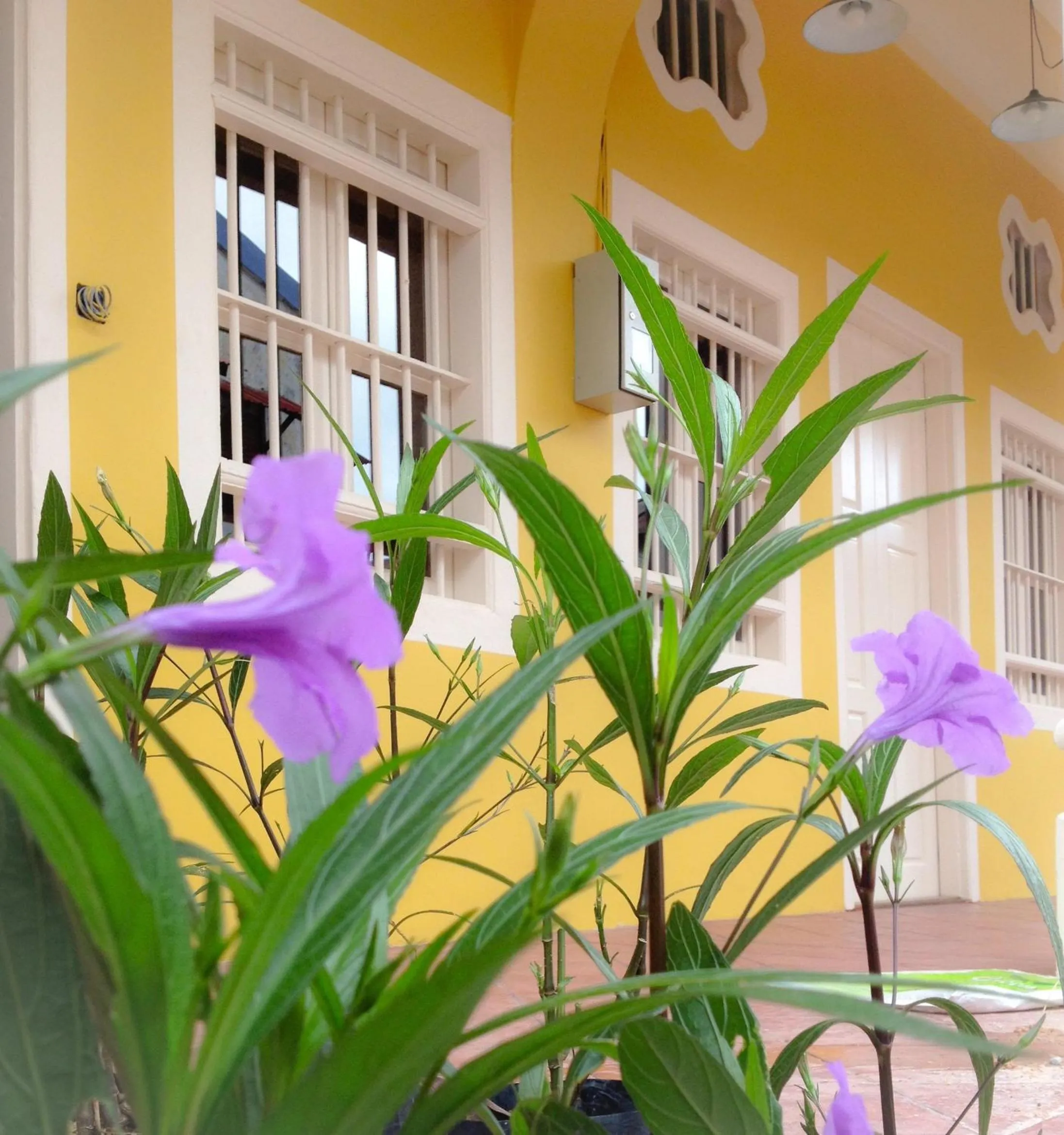 Facade/entrance in Sweet Cili Boutique Hotel