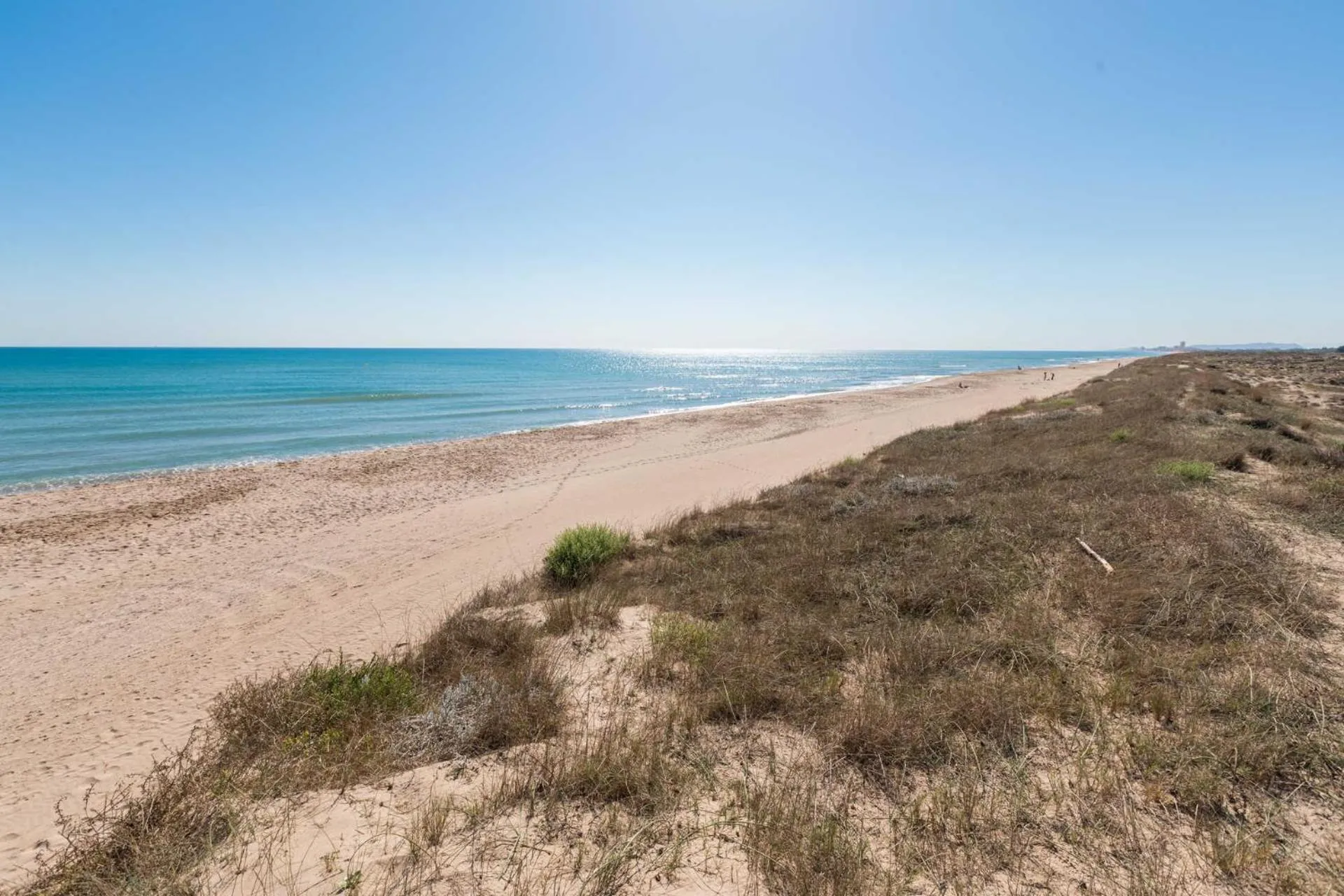Beach in Albufera Dreams Nature Suites