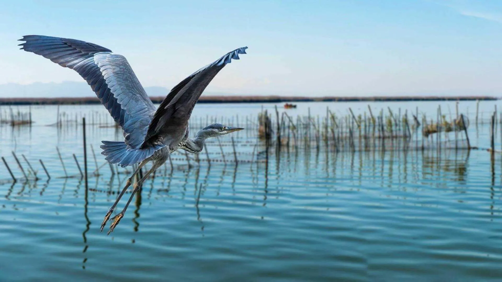 Nearby landmark in Albufera Dreams Nature Suites