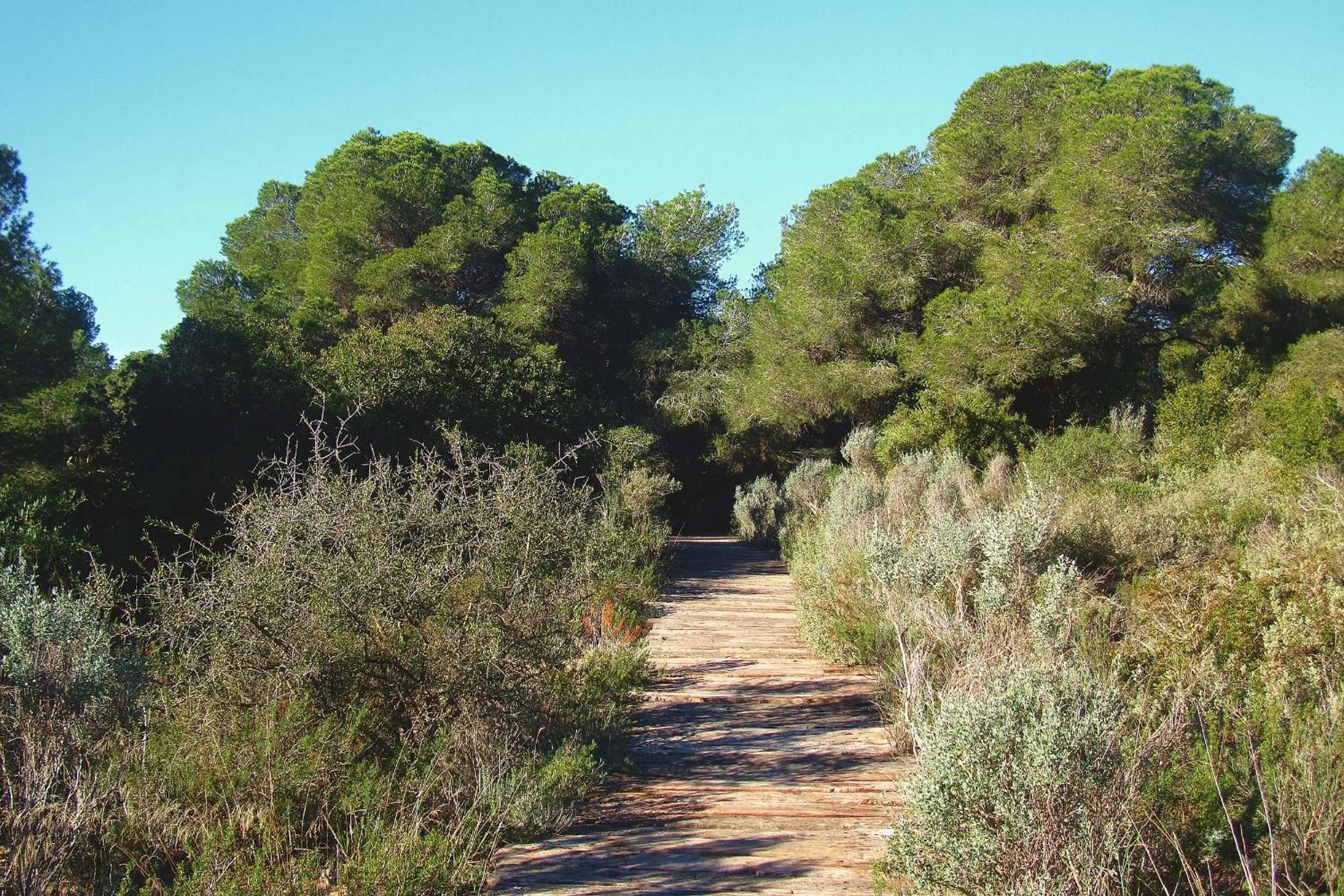 Nearby landmark in Albufera Dreams Nature Suites